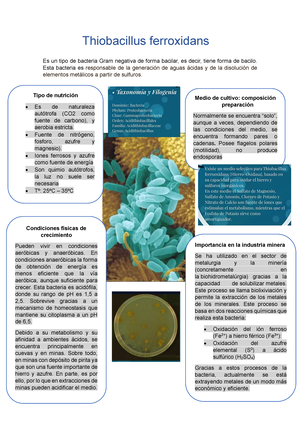 Reporte Laboratorio N° 5 - Reporte De Pr·ctica De Laboratorio NUMERO DE ...