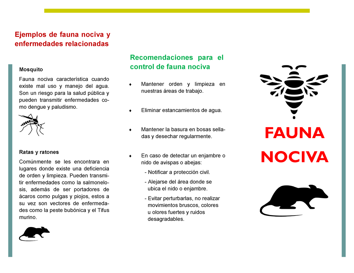 Fauna Nociva - ACTIVIDAD - FAUNA NOCIVA Recomendaciones para el control