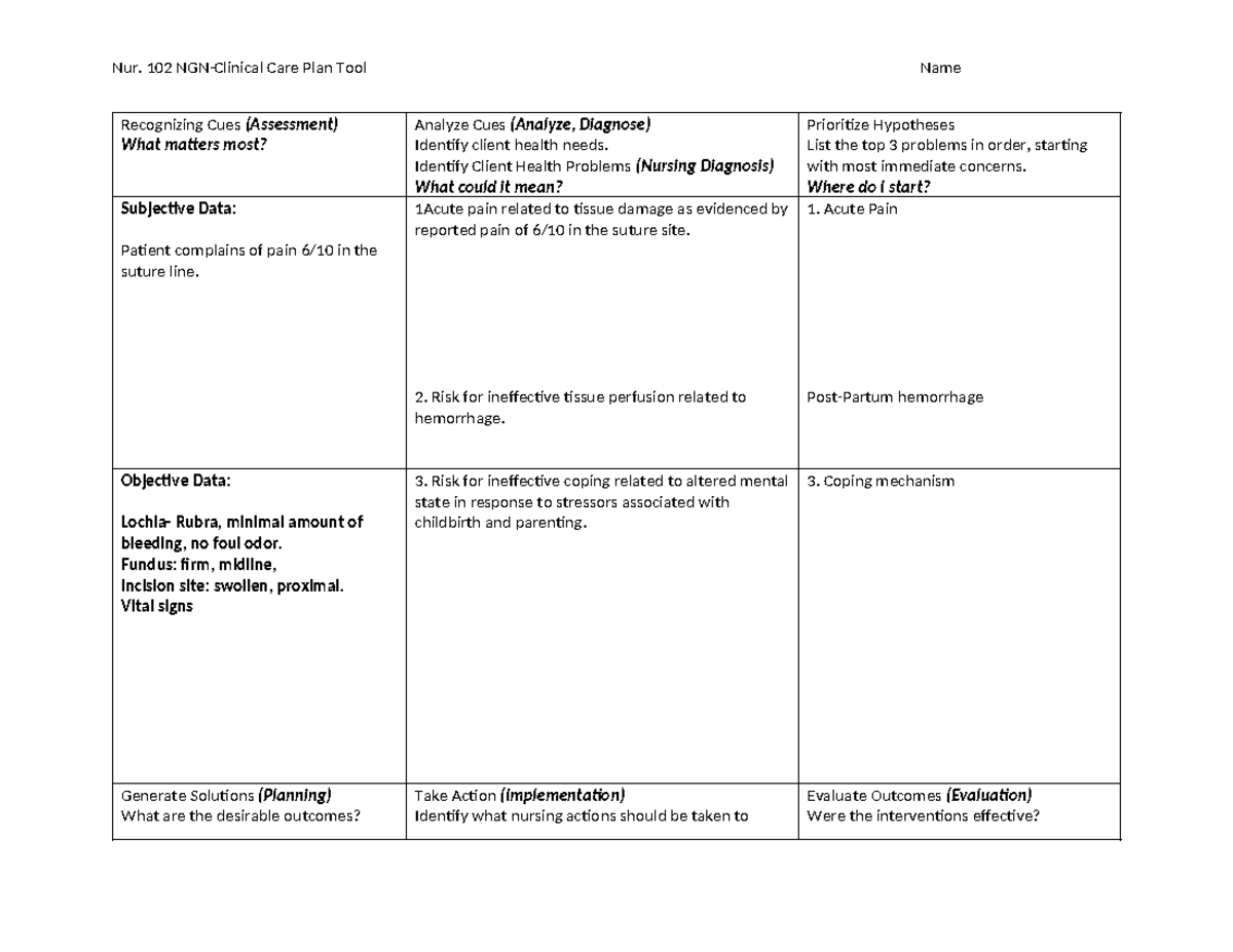 NGN Care Plan Template NUR 102 - Nur. 102 NGN-Clinical Care Plan Tool ...