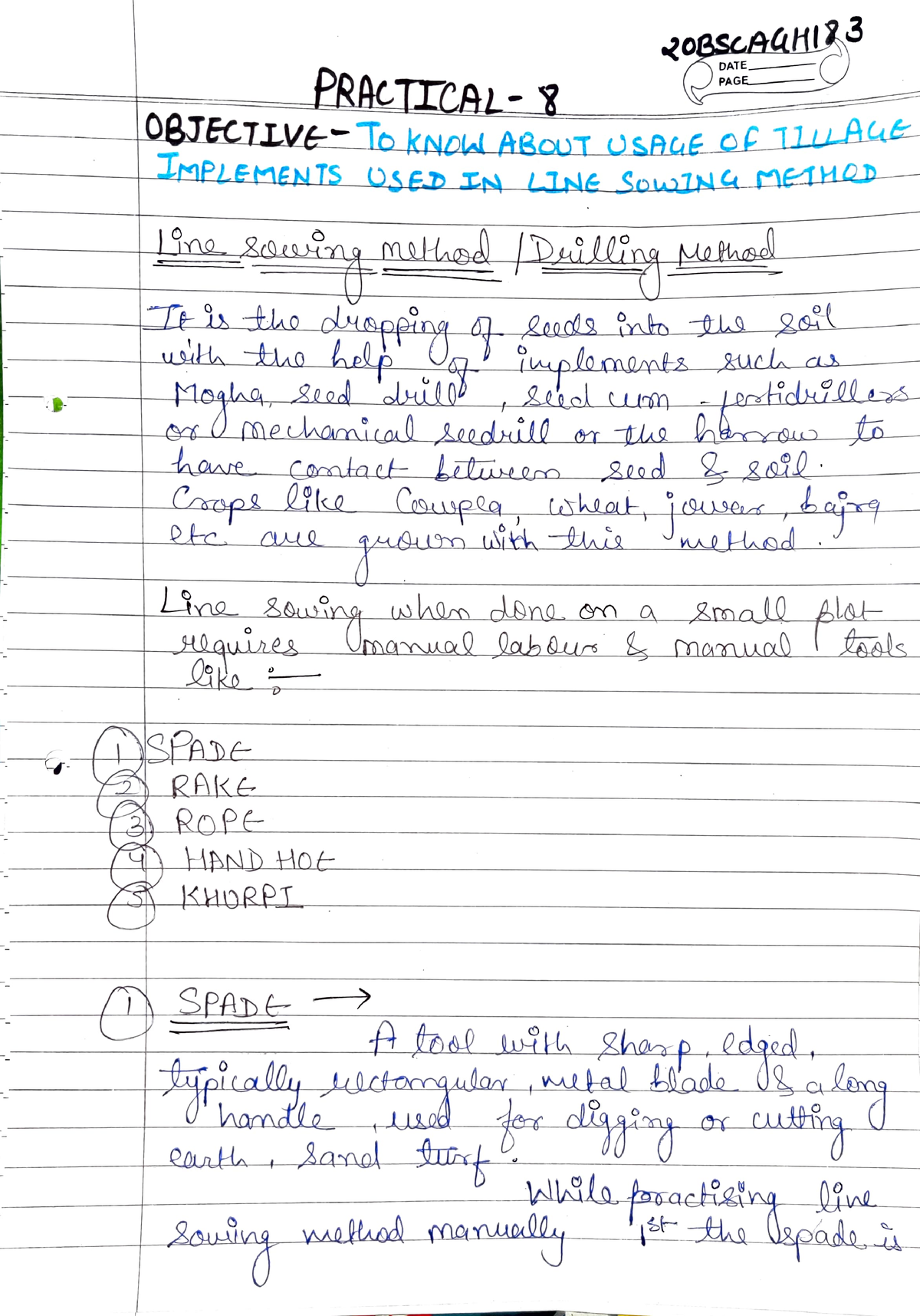 Agronomy practical 8 - usage of tillage in line sowing - 2oBSCAaHI DATE ...