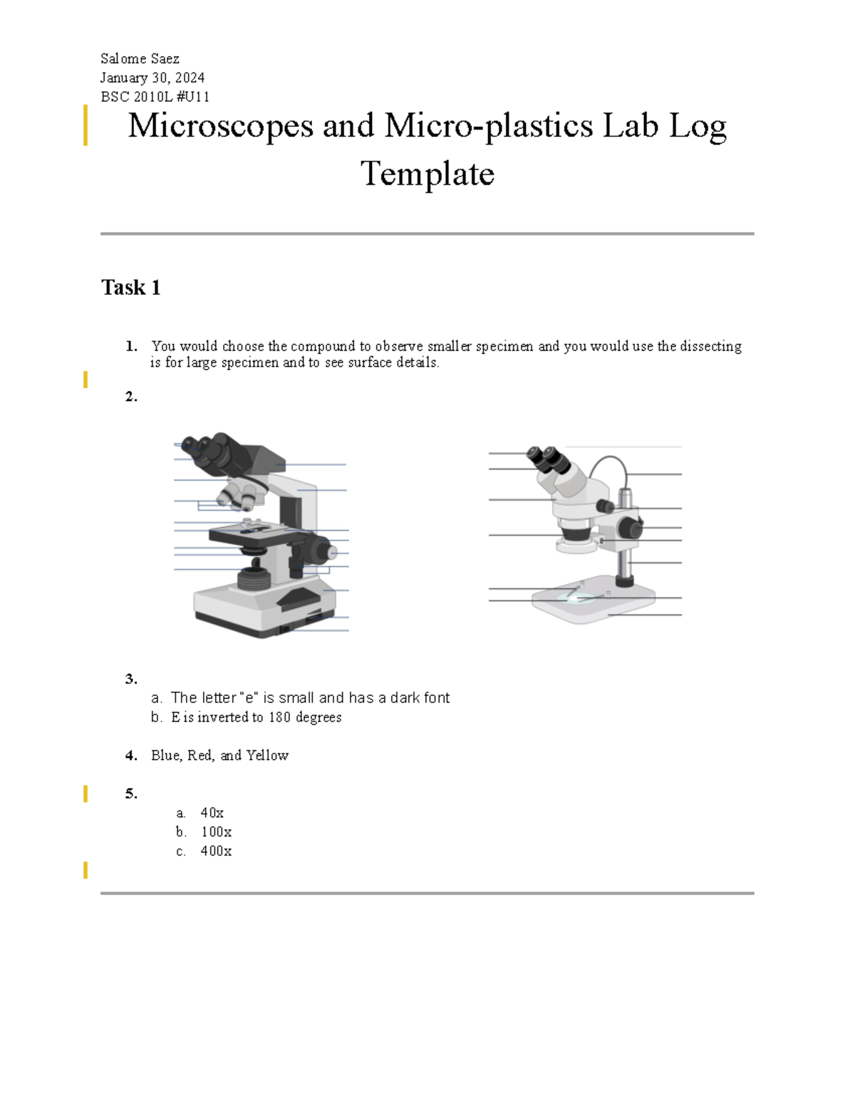 Lab 3 - LAB 3 - January 30, 2024 BSC 2010L #U Microscopes and Micro ...