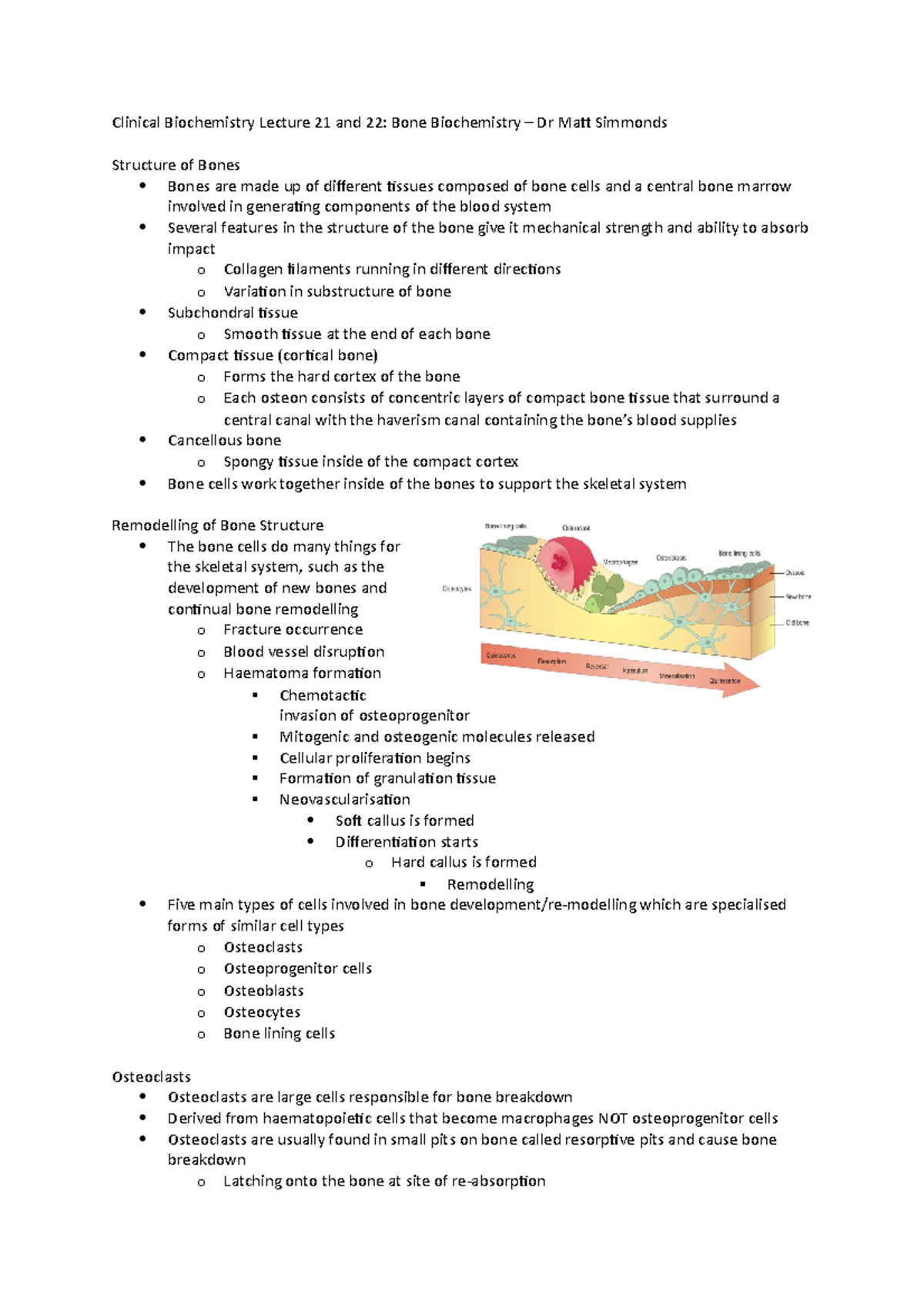 Lecture 21 and 22 Notes - Bone Biochemistry - Clinical Biochemistry ...