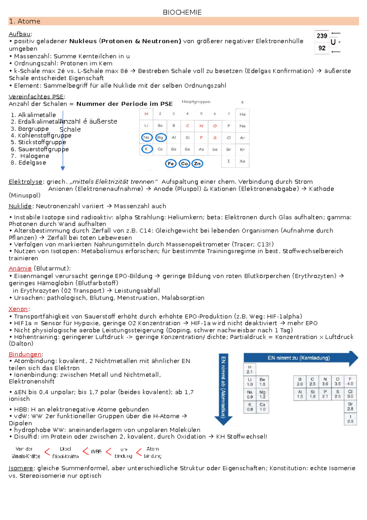 Biochemie Zusammenfassung Biochemie Atome Aufbau Positiv