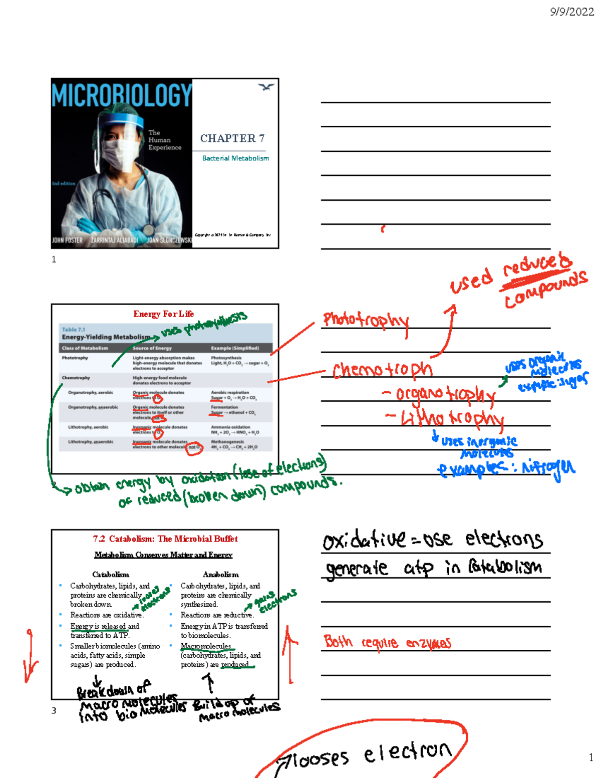 Chapter 7 - Medical Micro Biology, notes to lead you to success ...