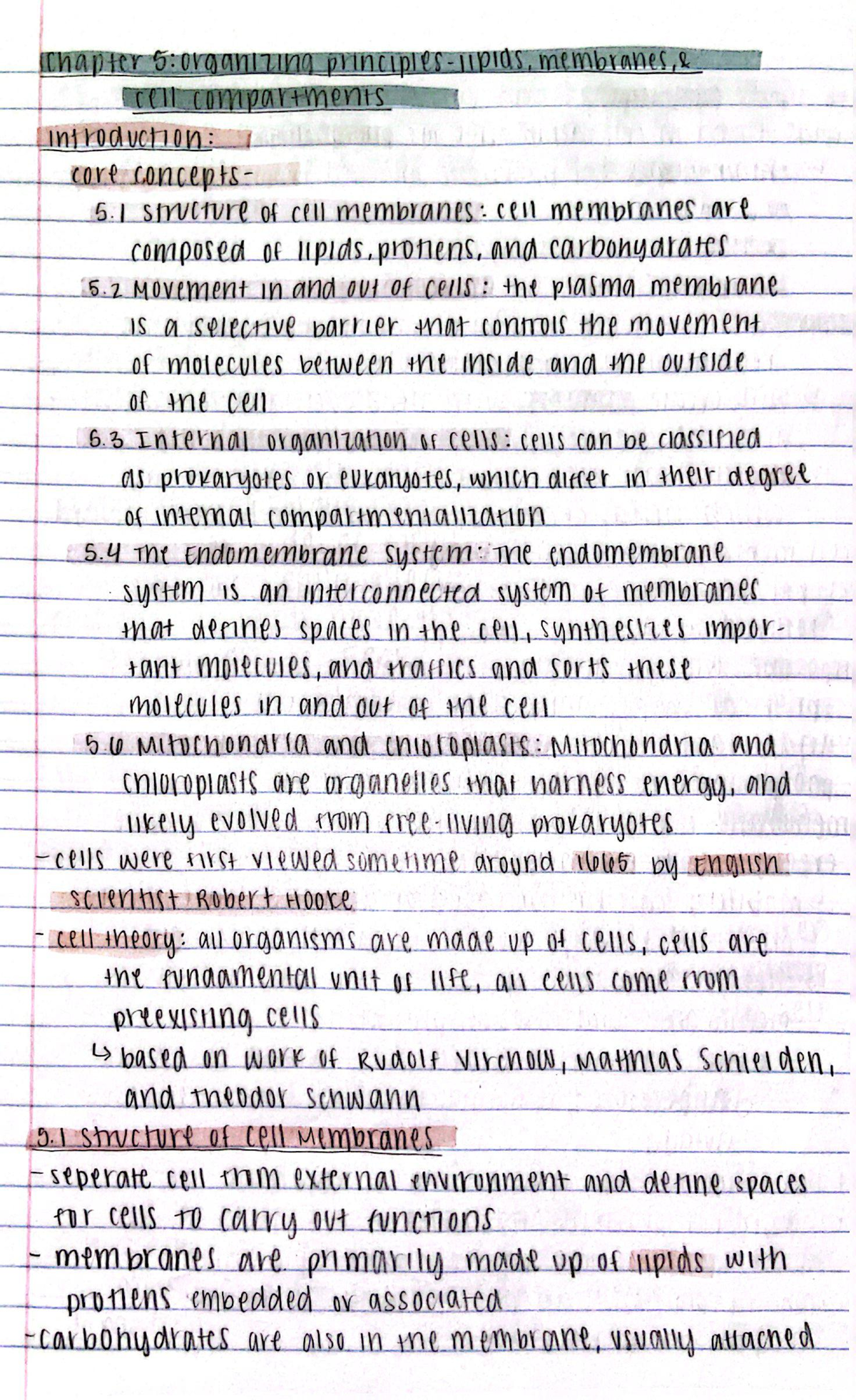 BIO140 Chapter 5 Part 1 - BIO 140 - Studocu