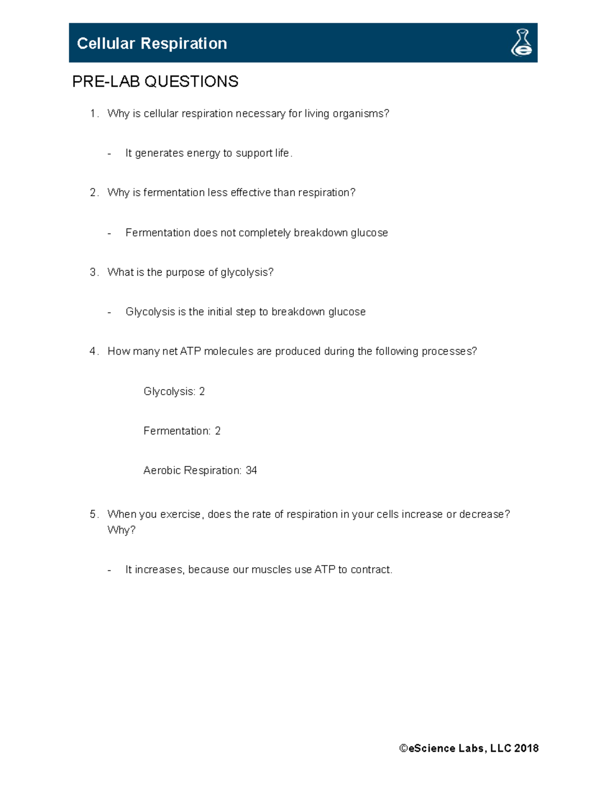 pre lesson homework quiz cellular respiration