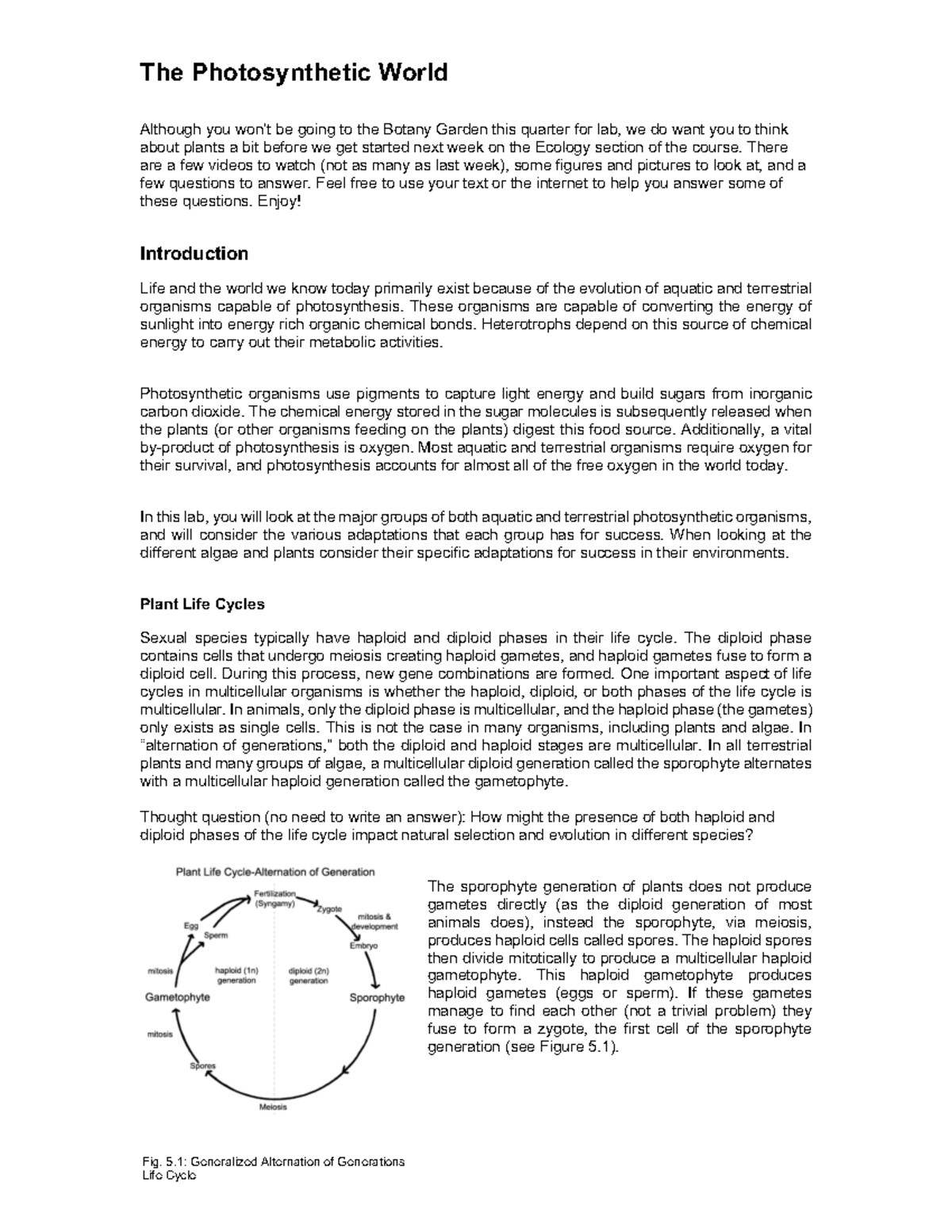 photosynthetic-world-worksheet-the-photosynthetic-world-although-you