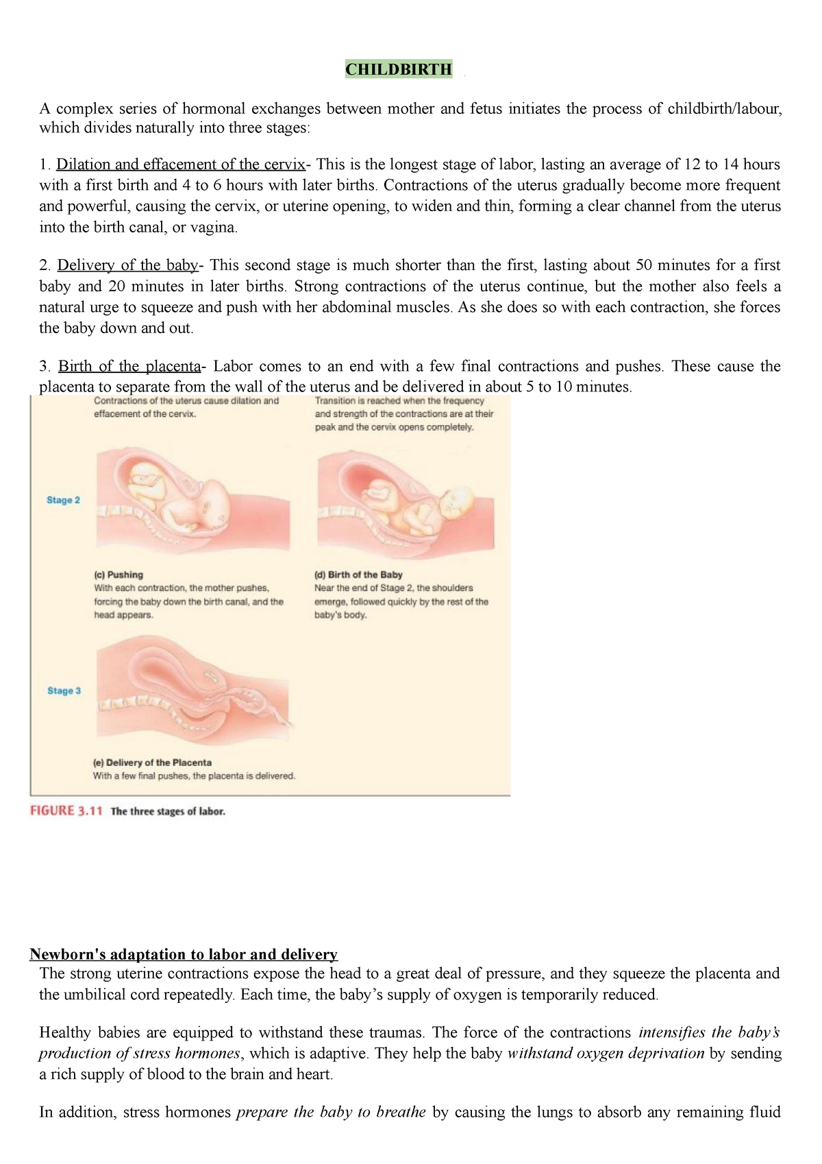 Childbirth - CHILDBIRTH A complex series of hormonal exchanges between ...