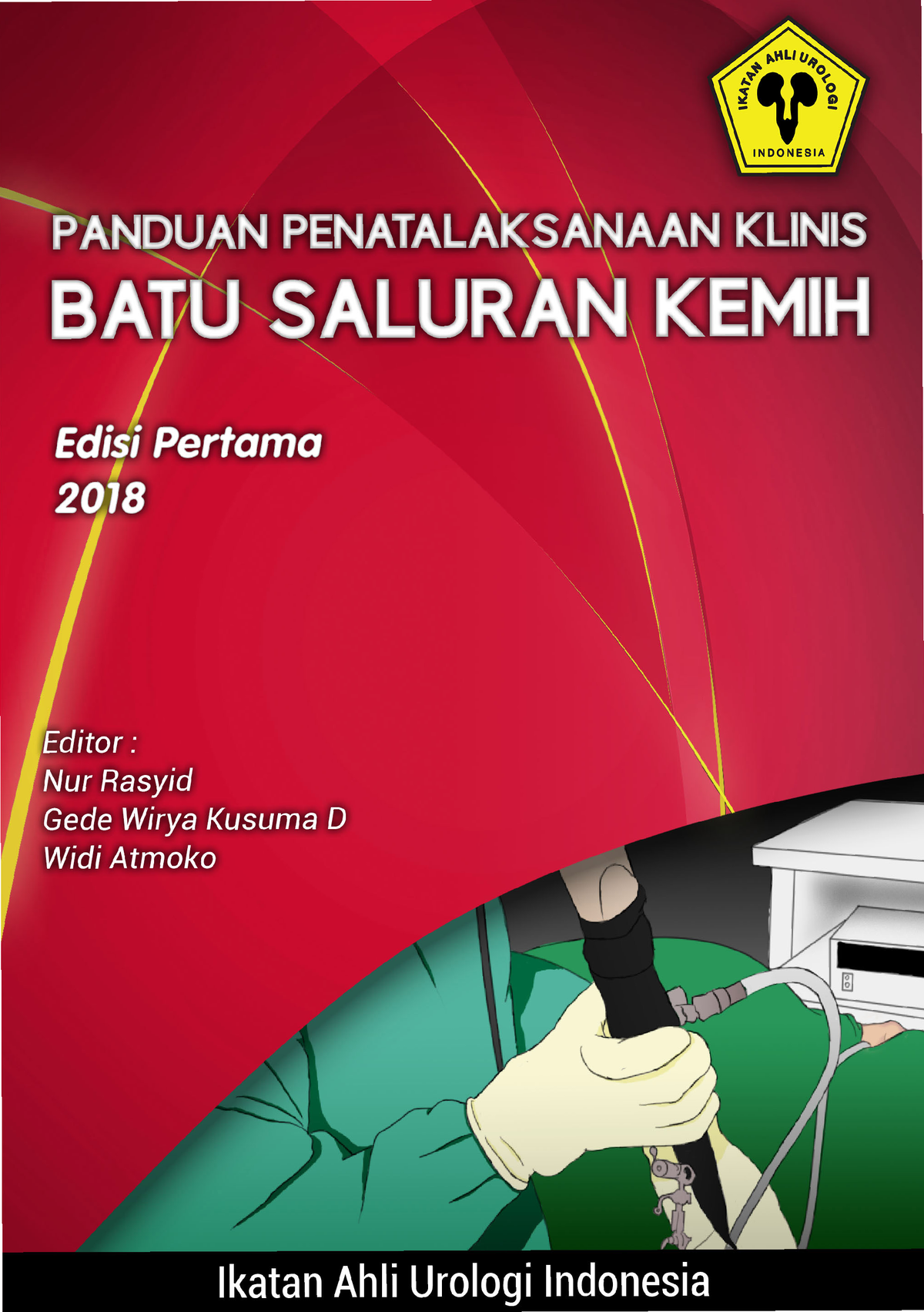 Buku Panduan Penatalaksanaan Batu Saluran Kemih - PANDUAN ...