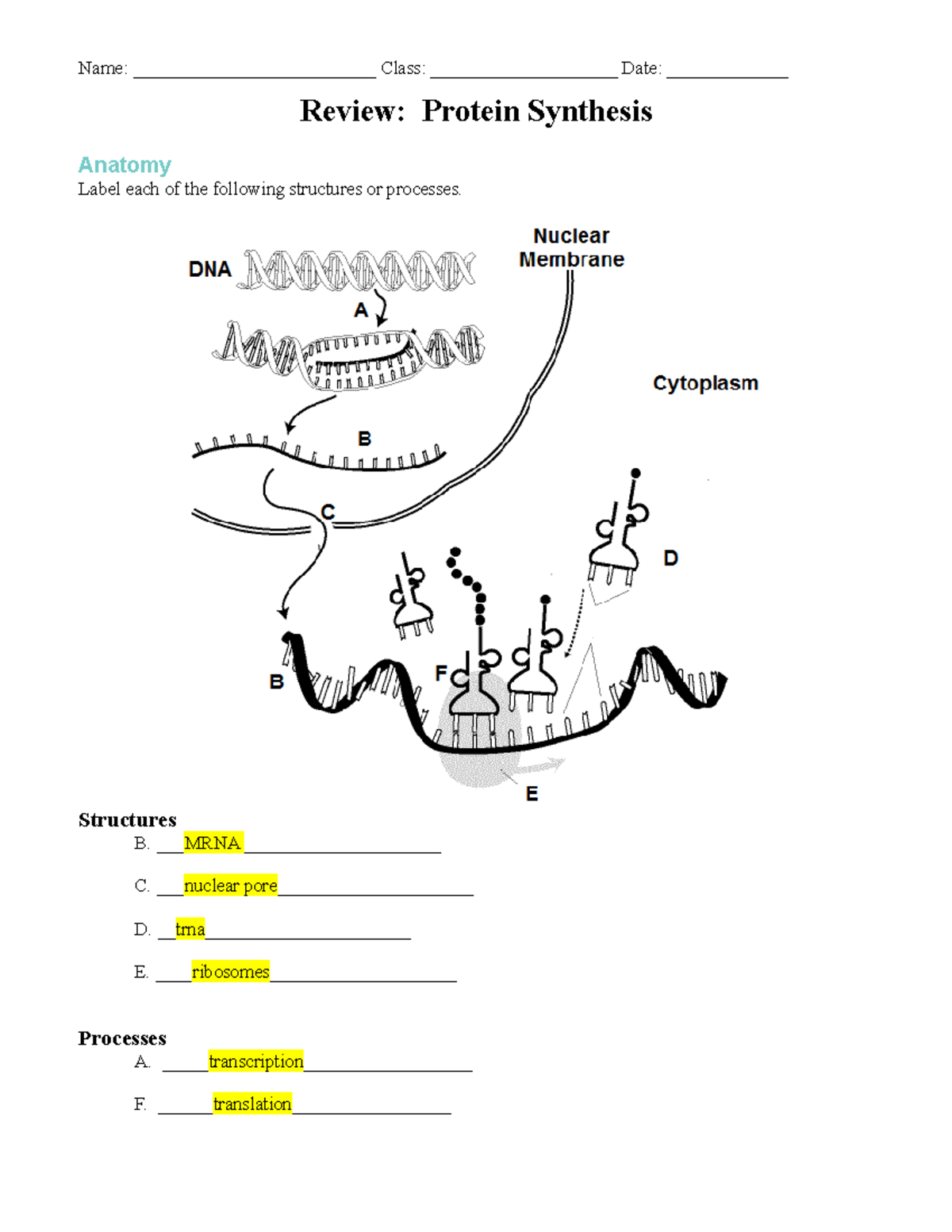 Protein Synthesis Review 221.21 221.21 interact - Name: Class: - StuDocu Throughout Protein Synthesis Worksheet Answer Key