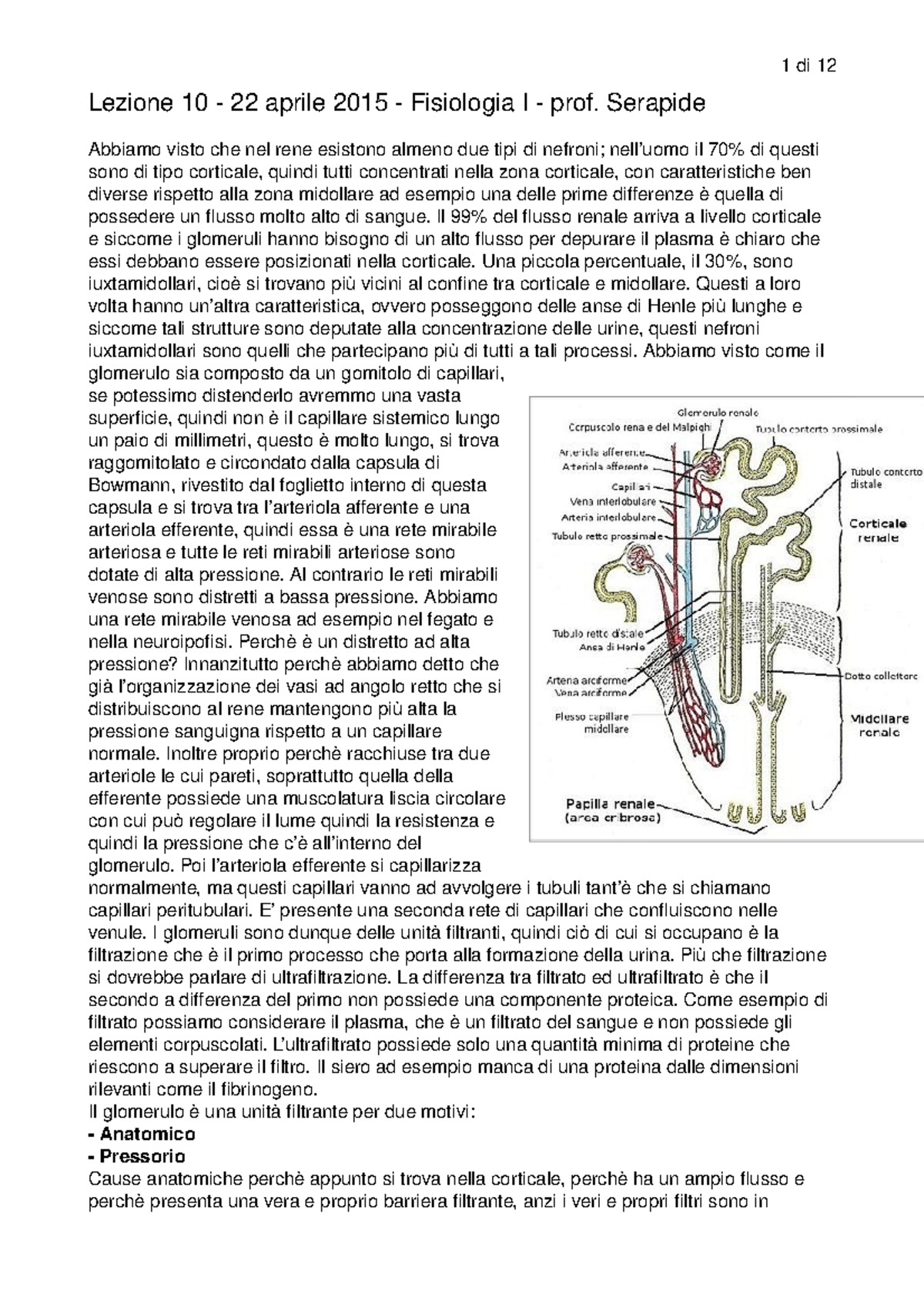 Fisiologia Sbobinature Giuffrida Studocu