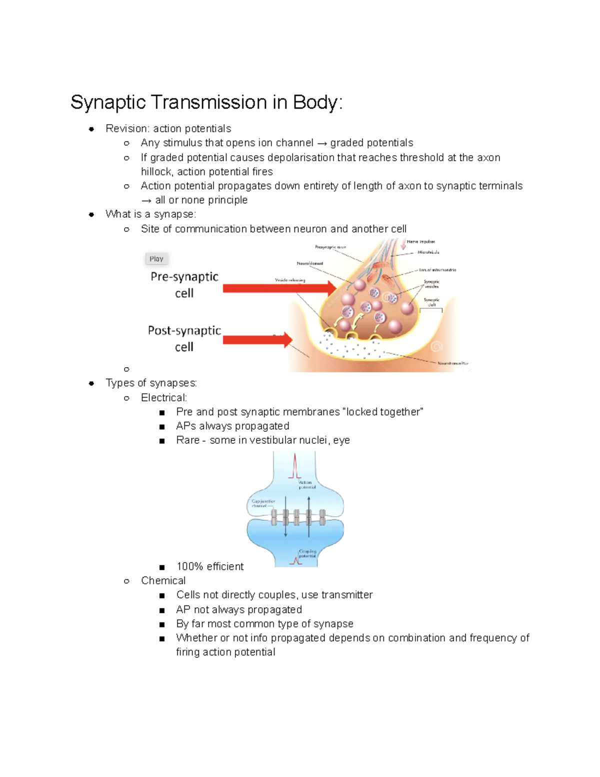 MEDS2001 Week 4 notes - Synaptic Transmission in Body: Revision: action ...