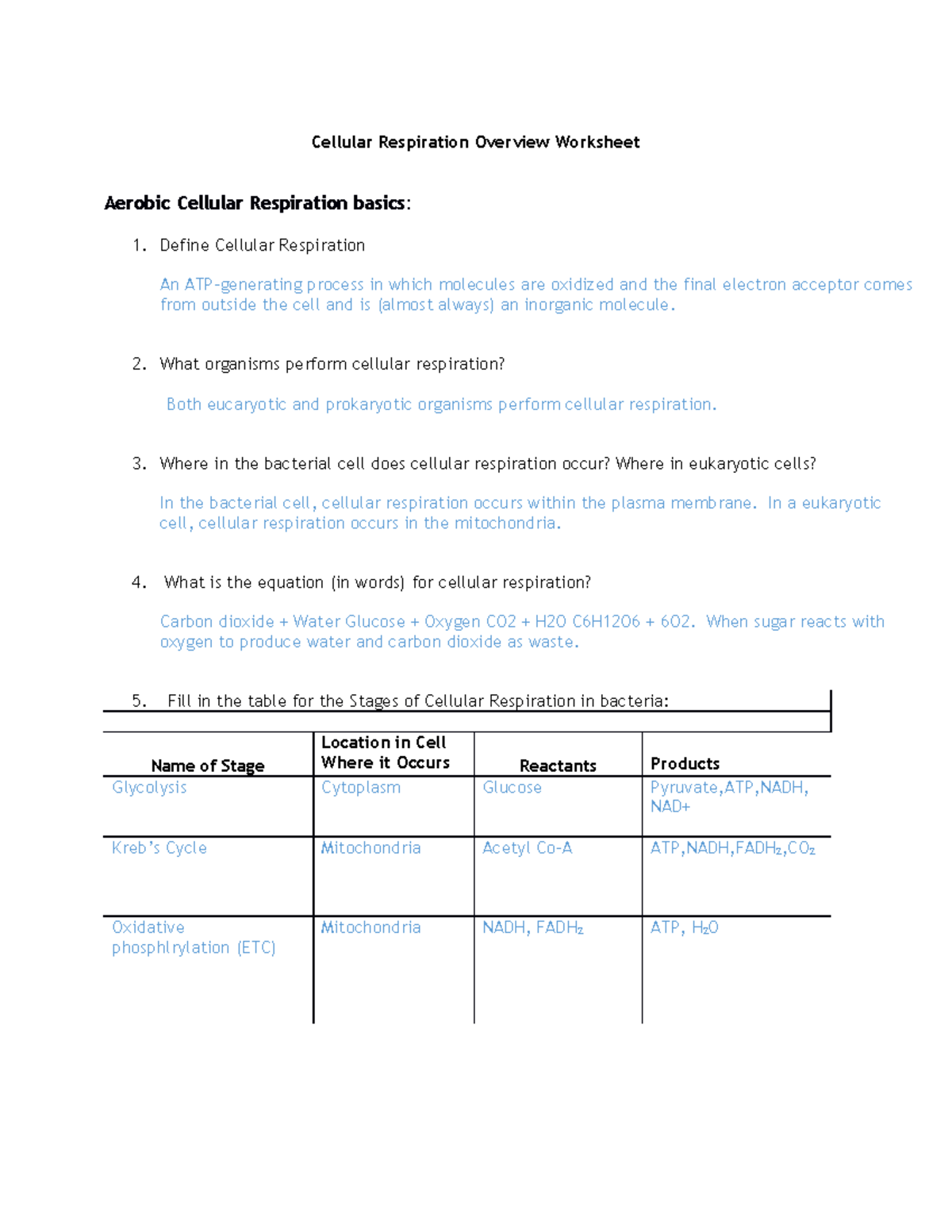 Cellular Respiration Overview Worksheet What Organisms Perform