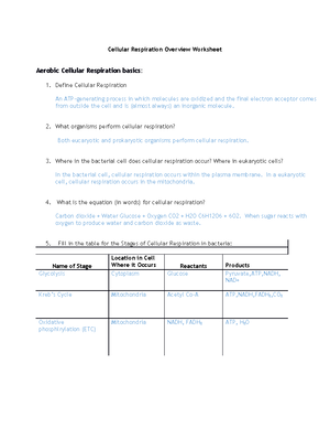 Cellular Respiration Overview Worksheet - What organisms perform cellular  respiration? Both - Studocu