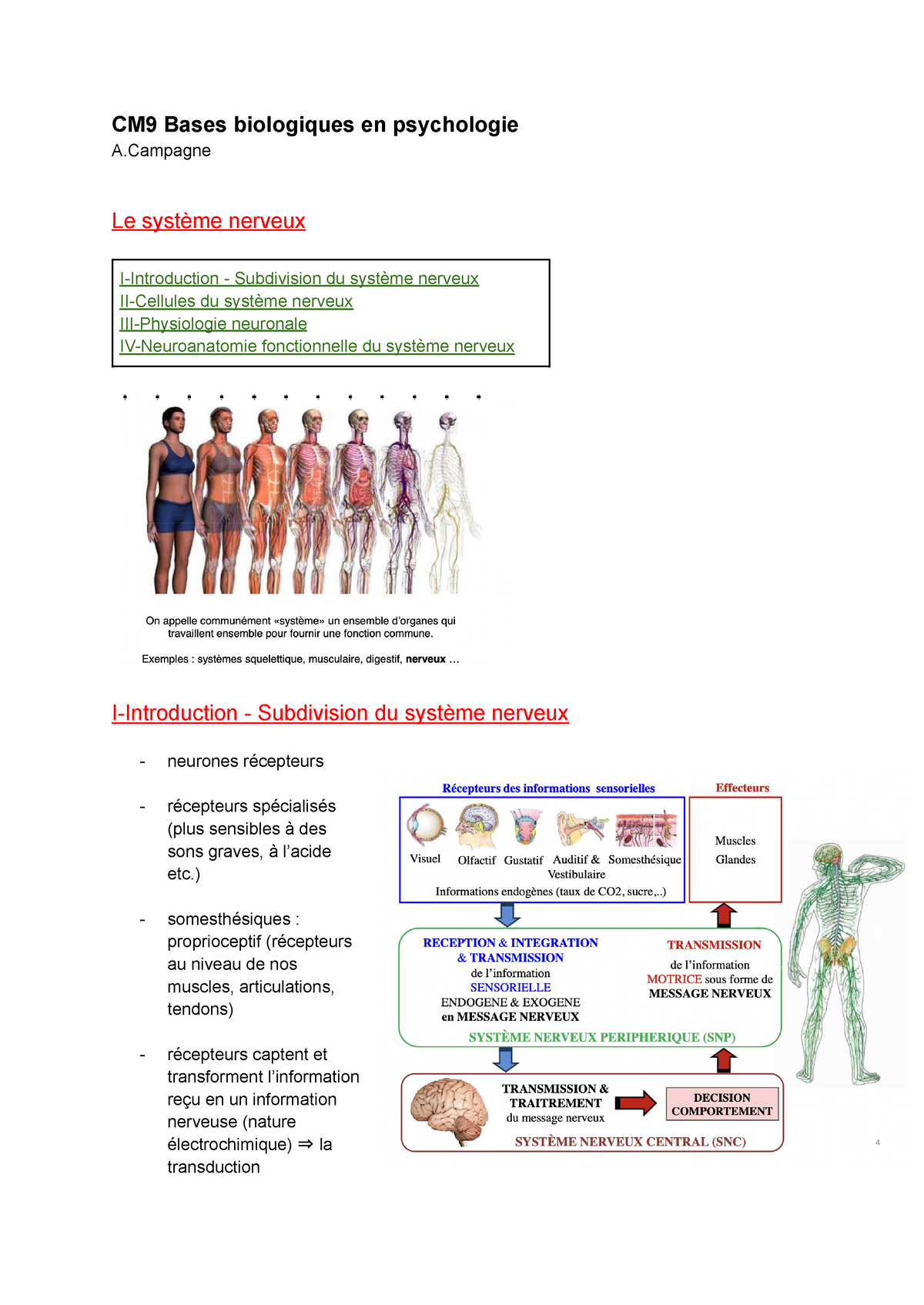 exemples de psychologie biologique