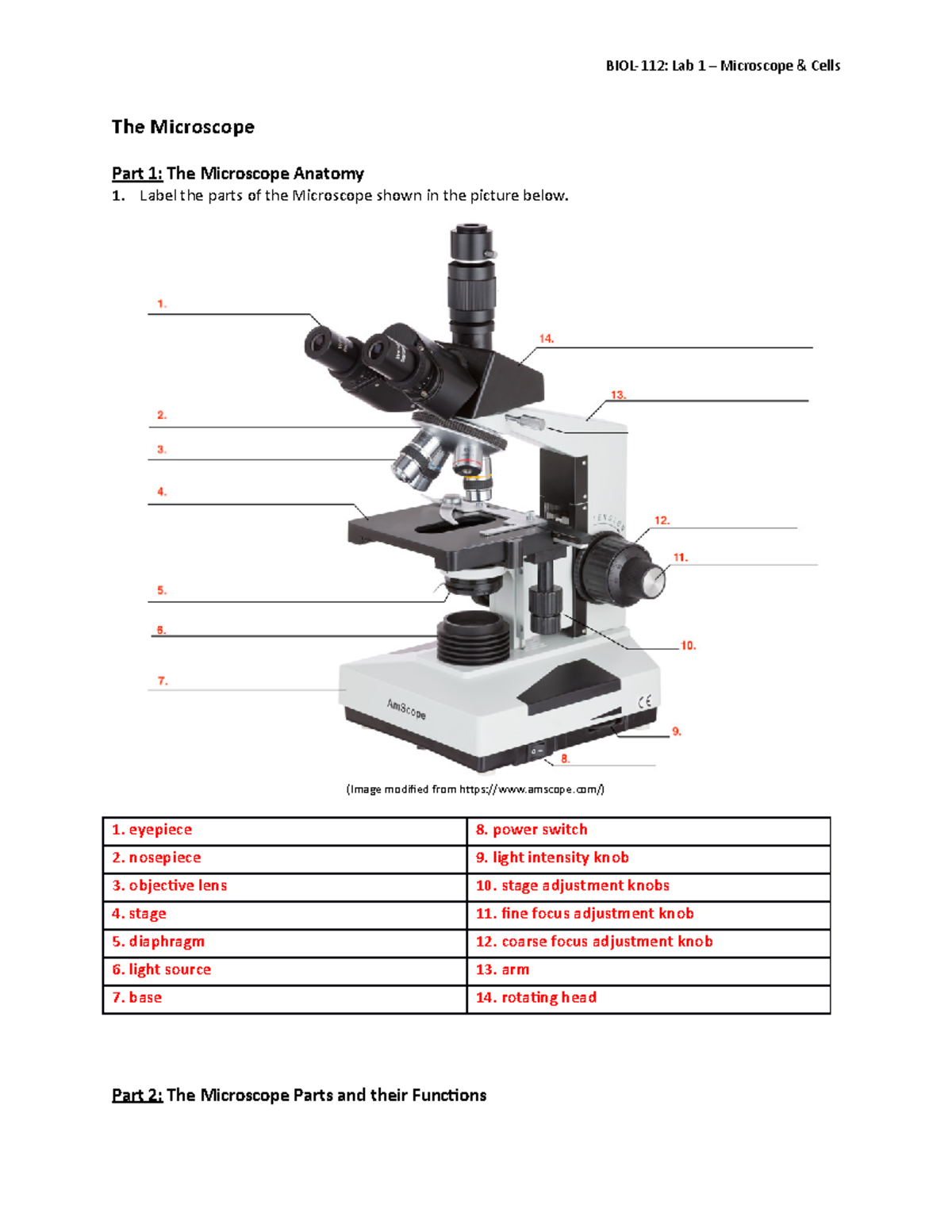 BIOL 112 Lab 1 Activtiy Worksheet Microscope Cells The Microscope
