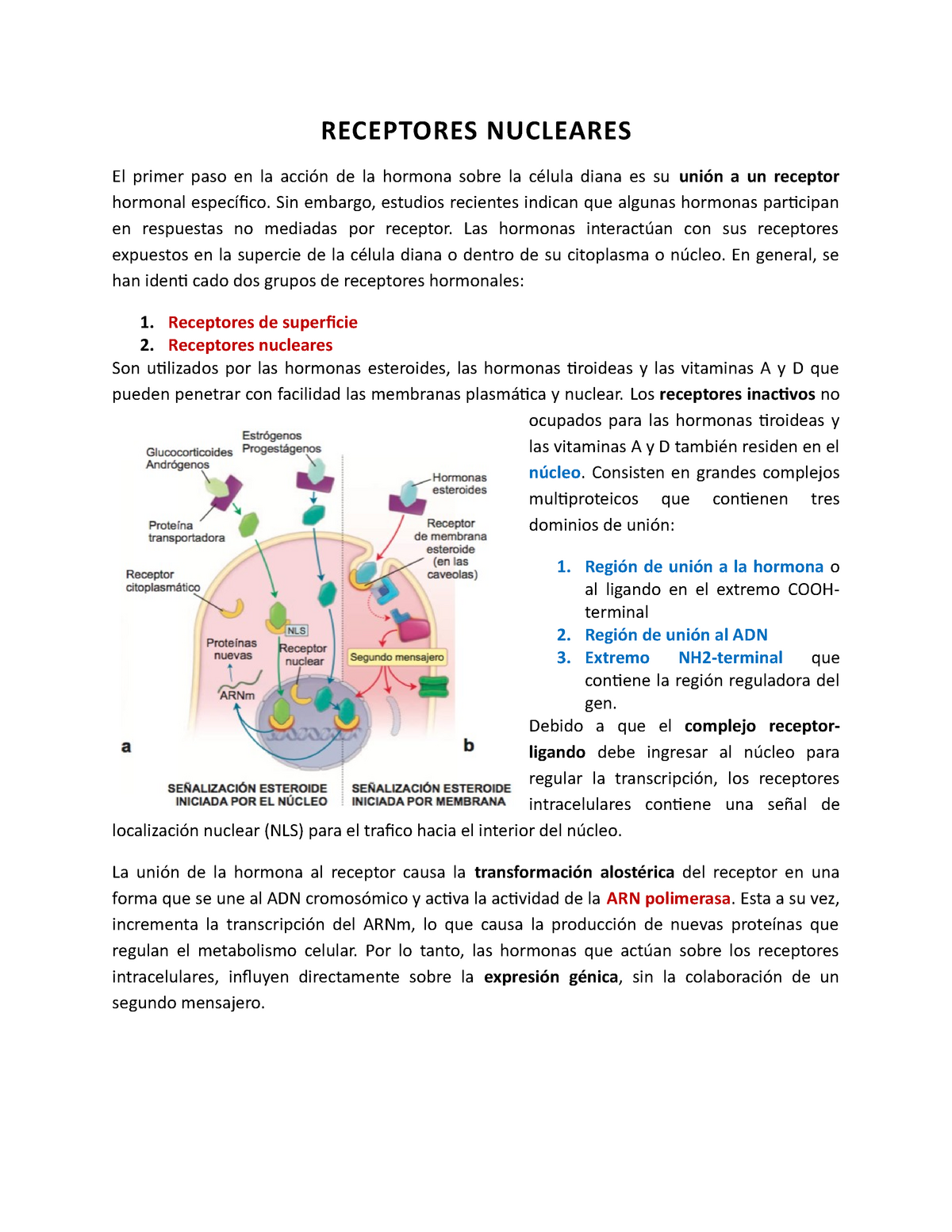 receptor de la hormona tiroidea