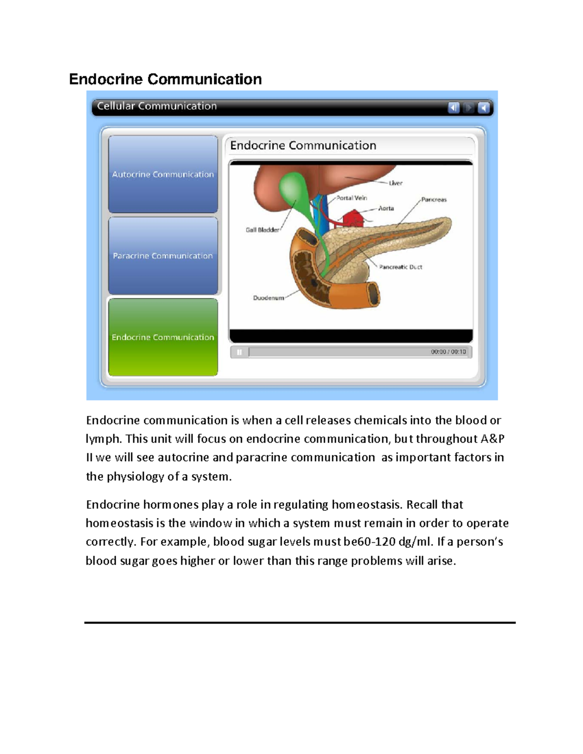Endocrine System 8 - Pharm - Endocrine Communication Endocrine ...