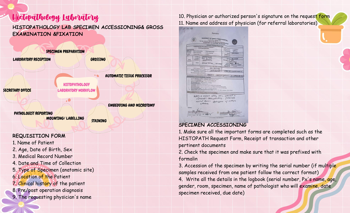 Histopath%20Lab%202 - hsnndnsn - Histopathology Laboratory ...