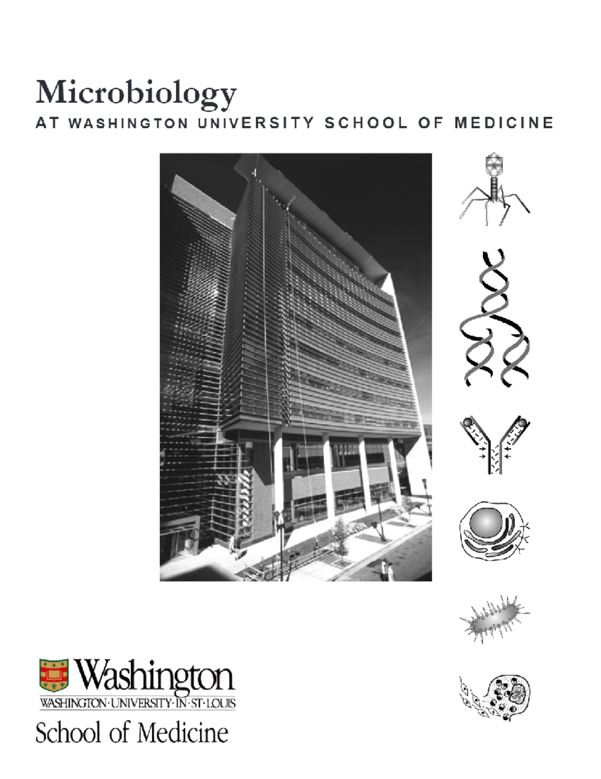 Microbiology - Department Of Molecular Microbiology - BIO 216 - Studocu