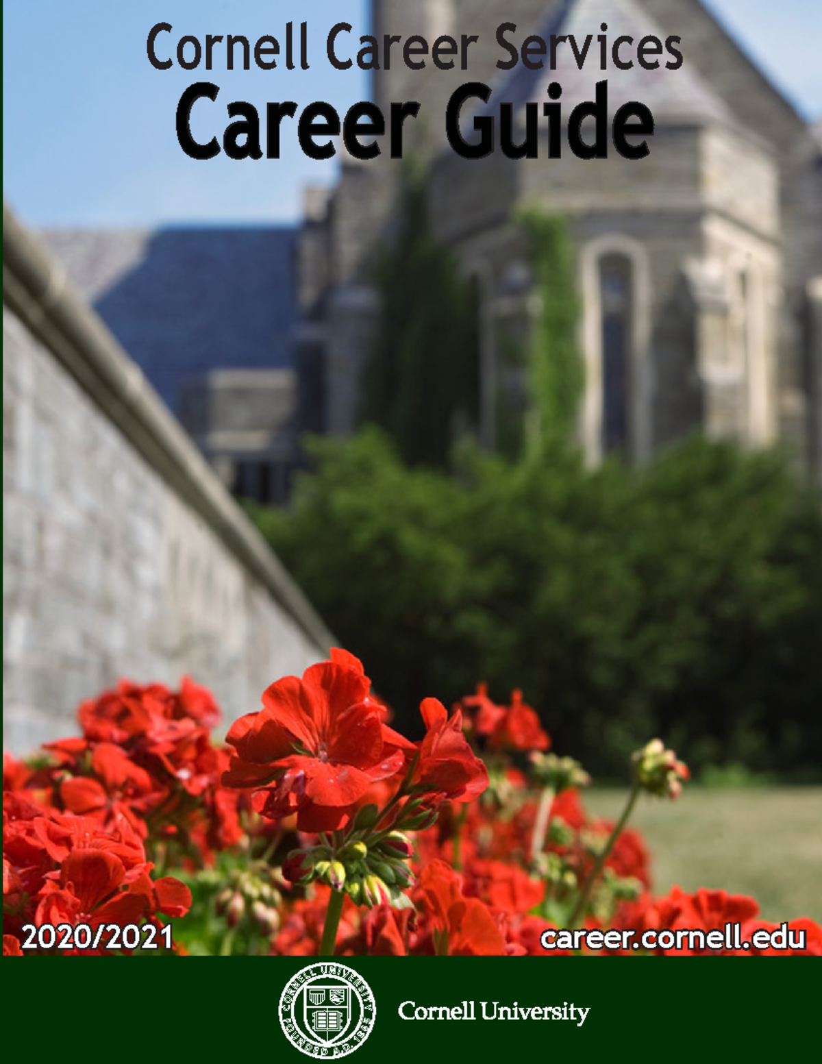 Cornell guide - Cornell Career Services 2020/2021 career.cornell Career ...