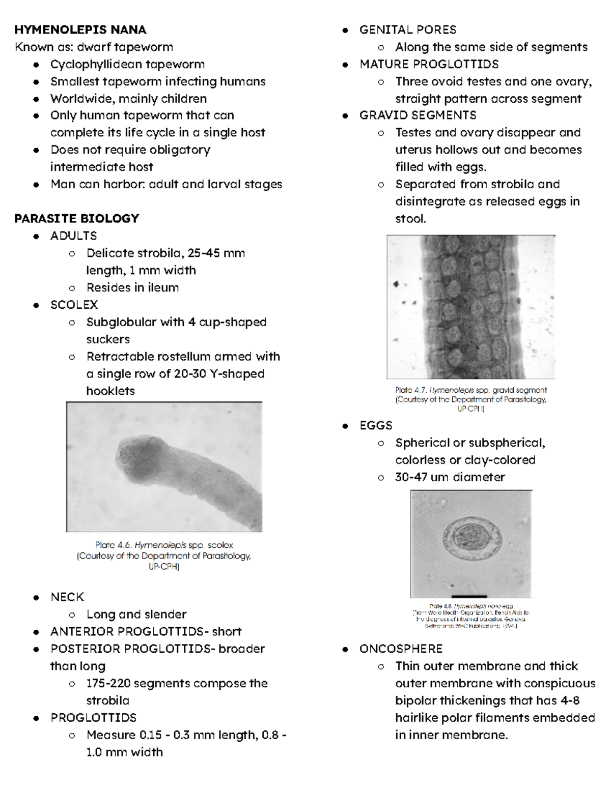 Hymenolepis NANA - notes - HYMENOLEPIS NANA Known as: dwarf tapeworm ...