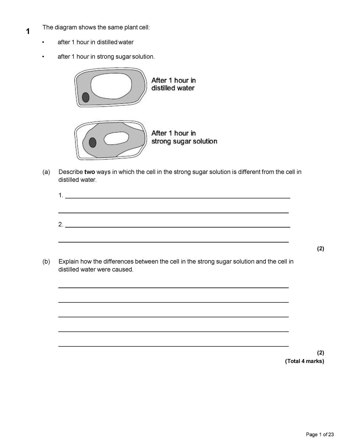 set-2-cell-biology-grades-7-9-the-diagram-shows-the-same-plant-cell