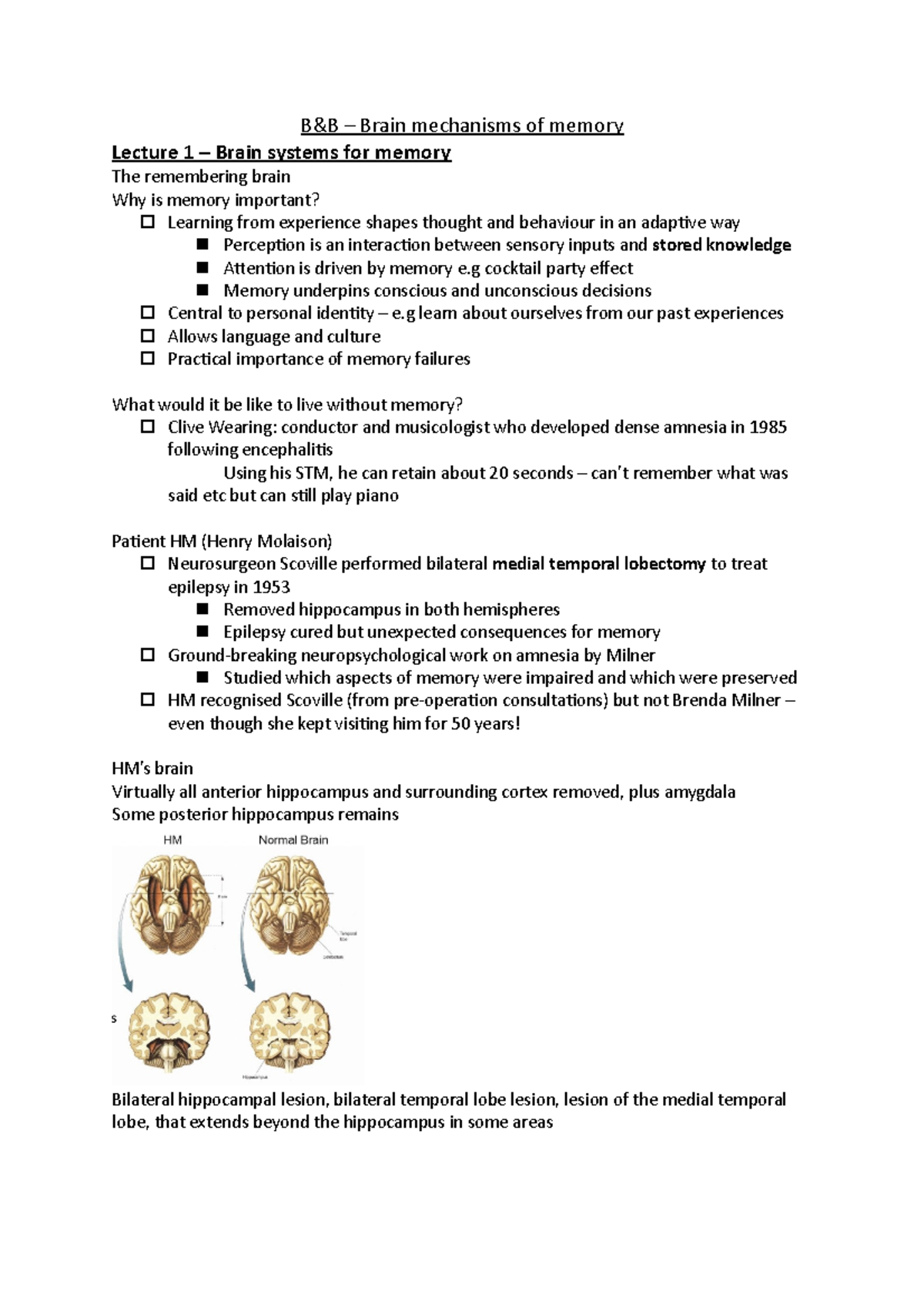 B&B - Brain Mechanisms Of Memory - B&B – Brain Mechanisms Of Memory ...