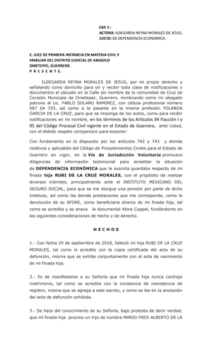 Ejemplo de Devolucion de Promocion de Juicio Especial de Alimentos del ...