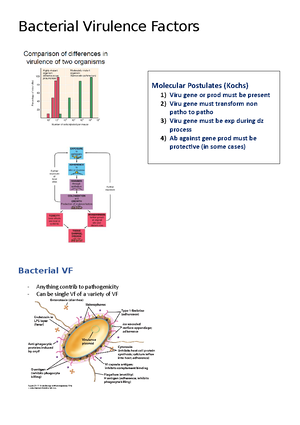 Bacterial Virulence Factors - Bacterial Virulence Factors Bacterial VF ...