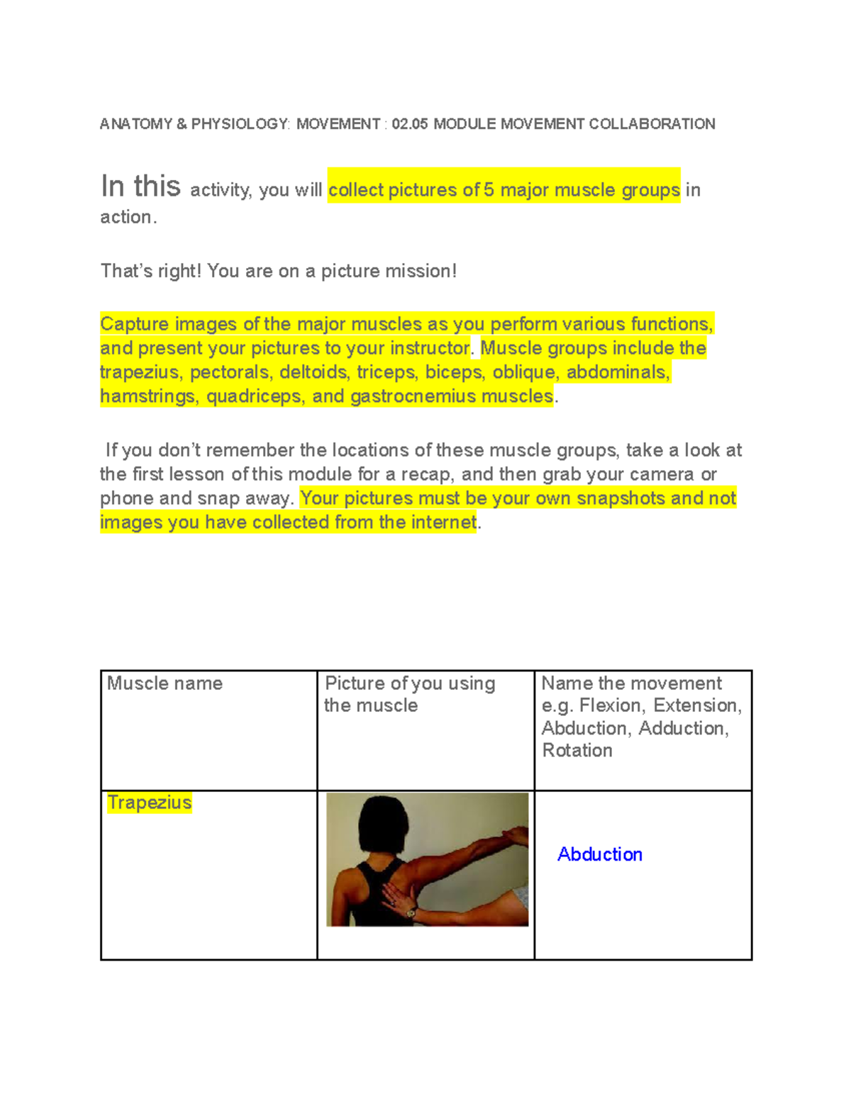 Physiology 2.05 Anatomy 1 - ANATOMY & PHYSIOLOGY: MOVEMENT : 02 MODULE ...