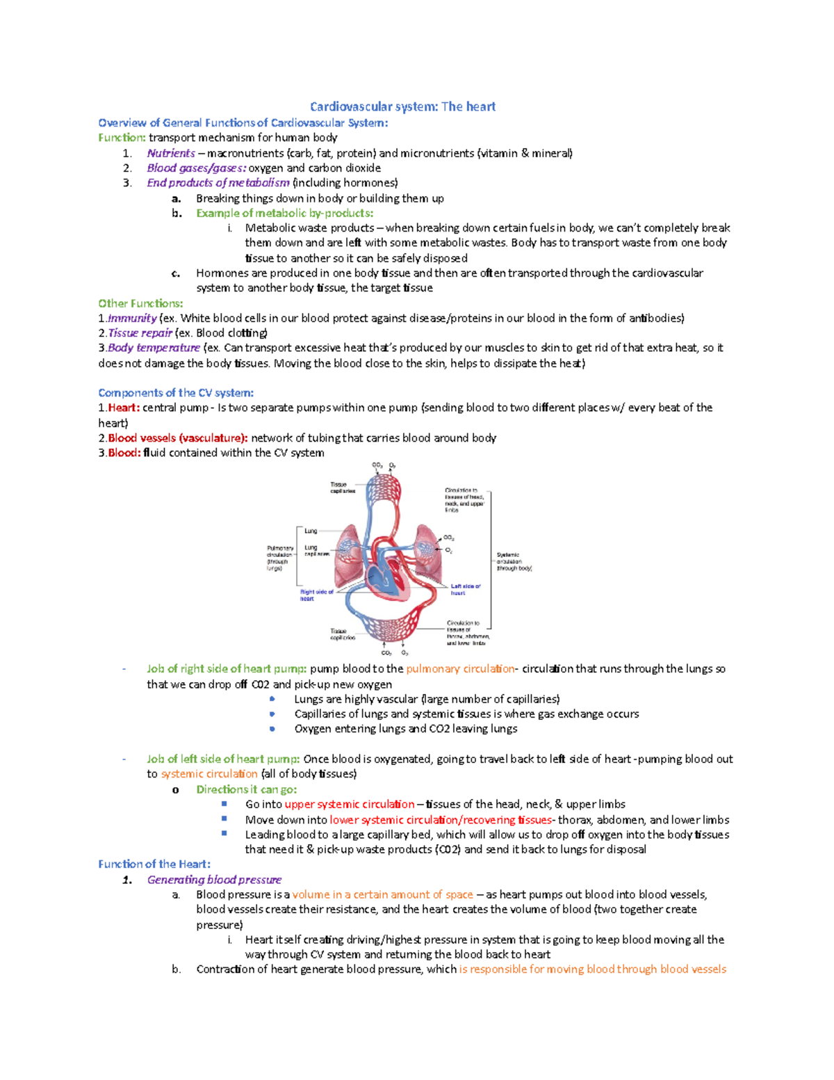 The Heart Module 1-4 - Trevor King - Cardiovascular system: The heart ...