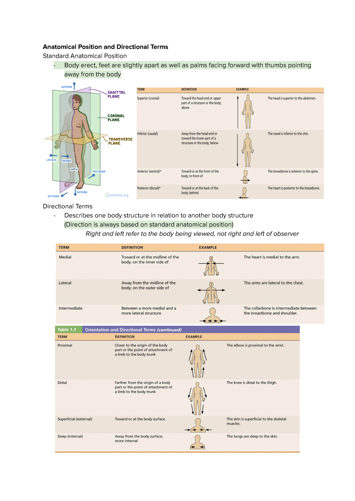 body regions nursing