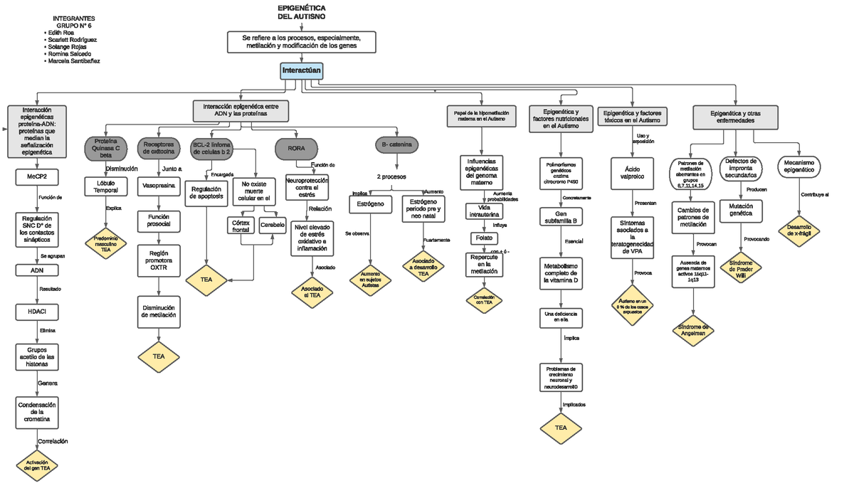 Mapa epigenetica - material de autismo y reeducación - INTEGRANTES GRUPO N°  6 Edith Roa Scarlett - Studocu