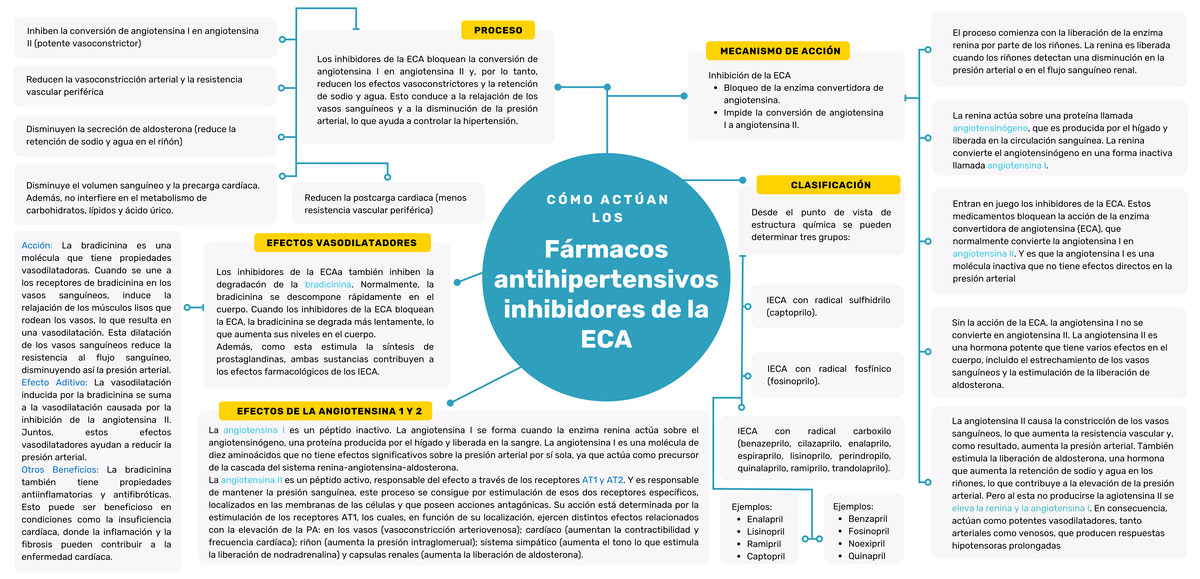 Farmacos antihipertensivos inhibidores de la ECA - C Ó M O A C T Ú A N