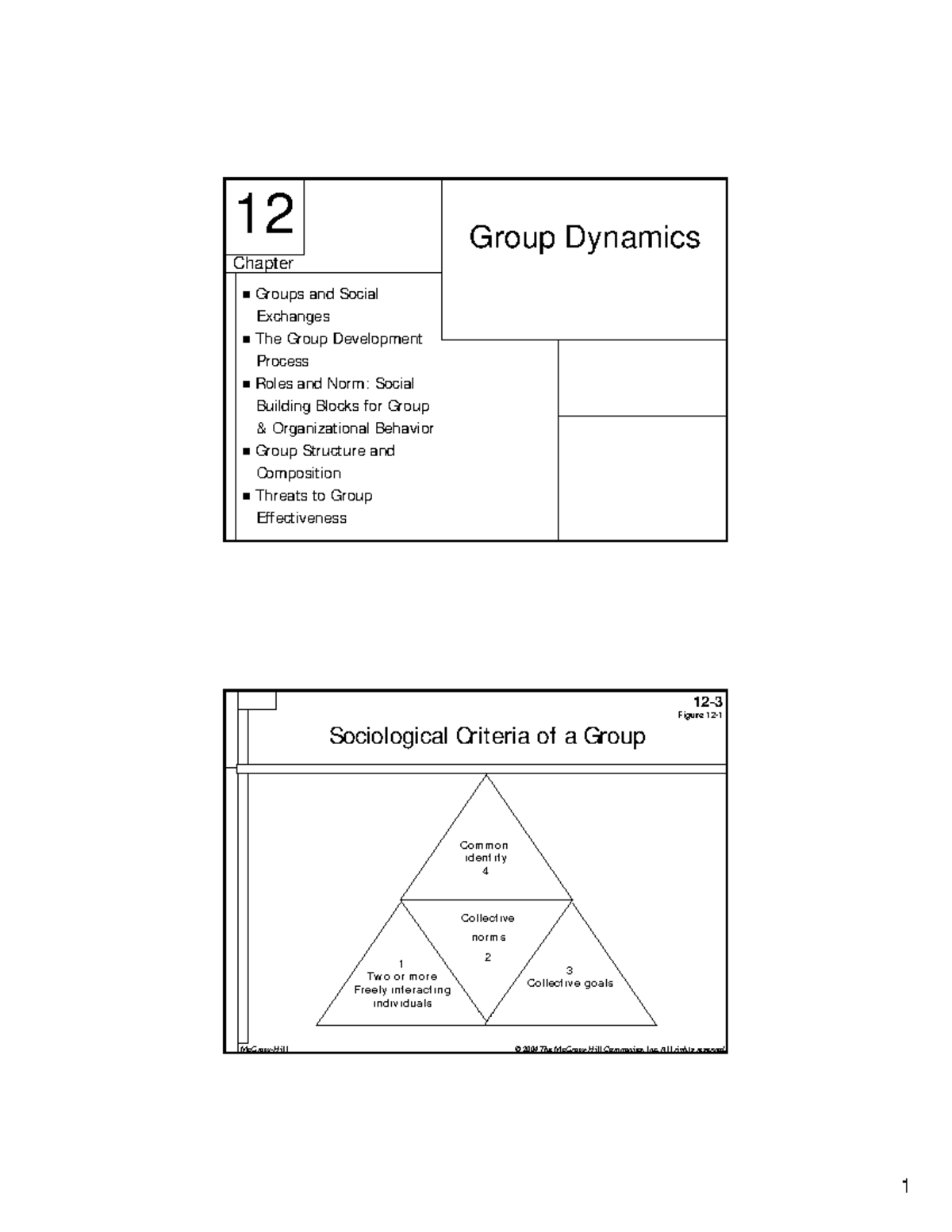 Chap010a-Group Dynamics - Chapter 12 Group Dynamics Groups And Social ...