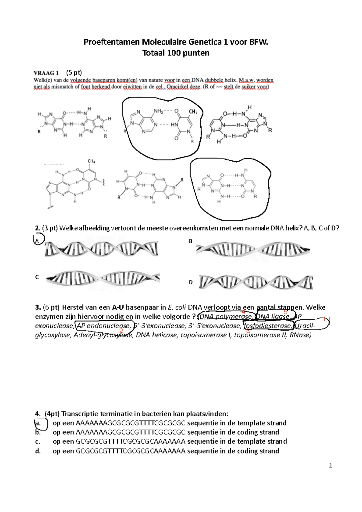 Moleculaire Genetica Oefententamen 2019 + Antwoorden - Proeftentamen ...