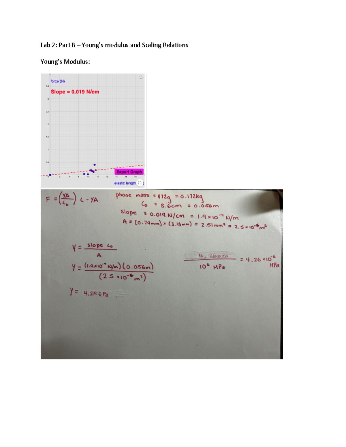 Lab 2 Part B - Phys*1080 - Lab 2: Part B – Young’s modulus and Scaling ...