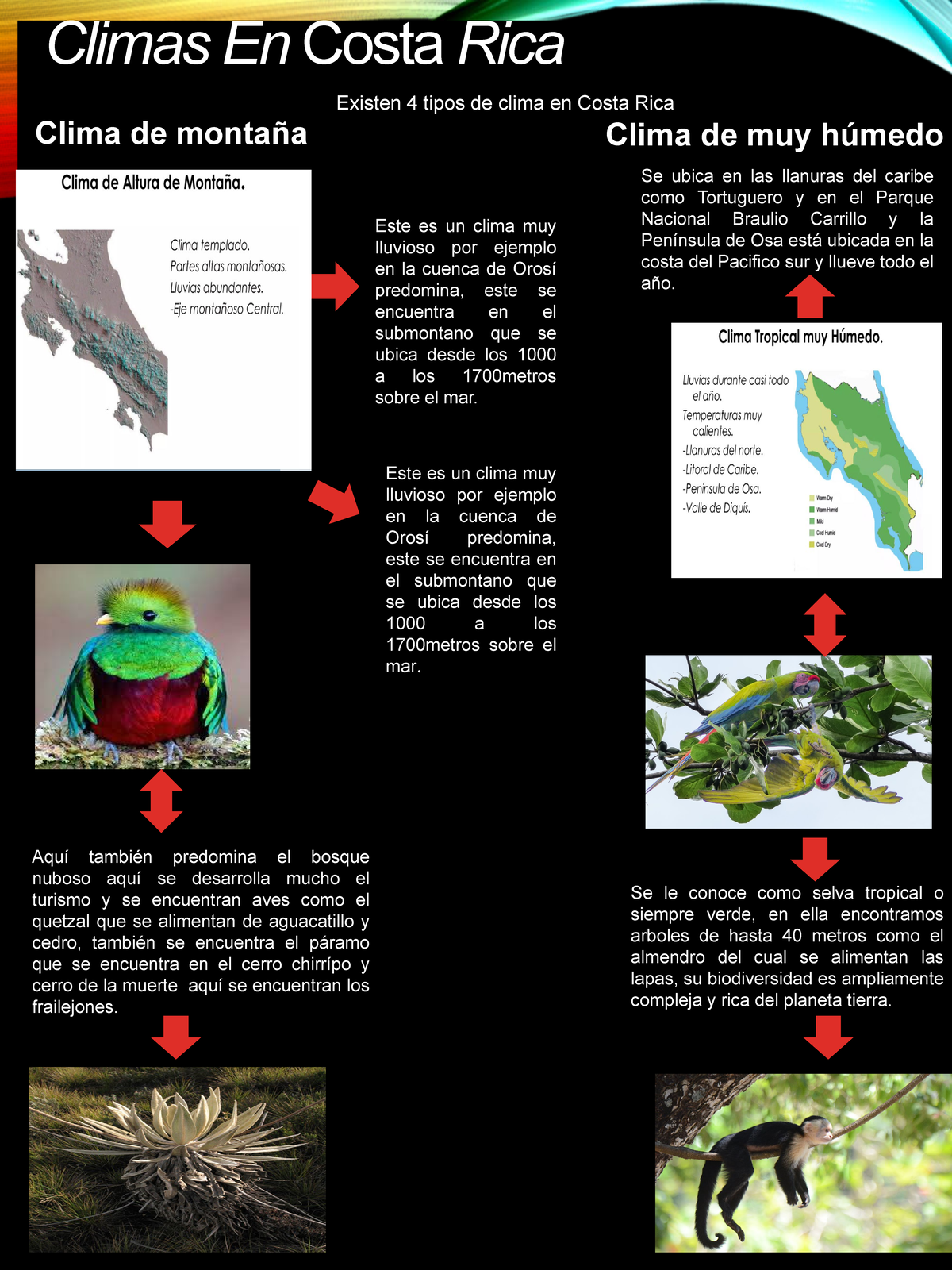 Climas de Costa Rica - fgghh - Climas En Costa Rica Existen 4 tipos de ...