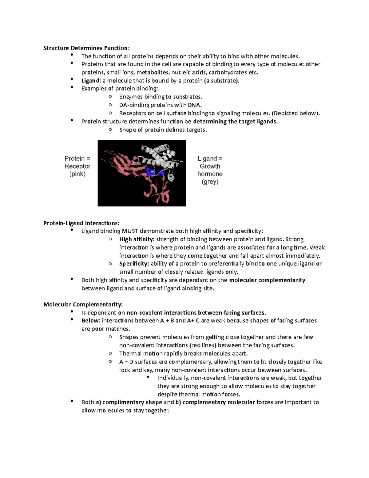 2b-regulating-protein-function-structure-determines-function-the