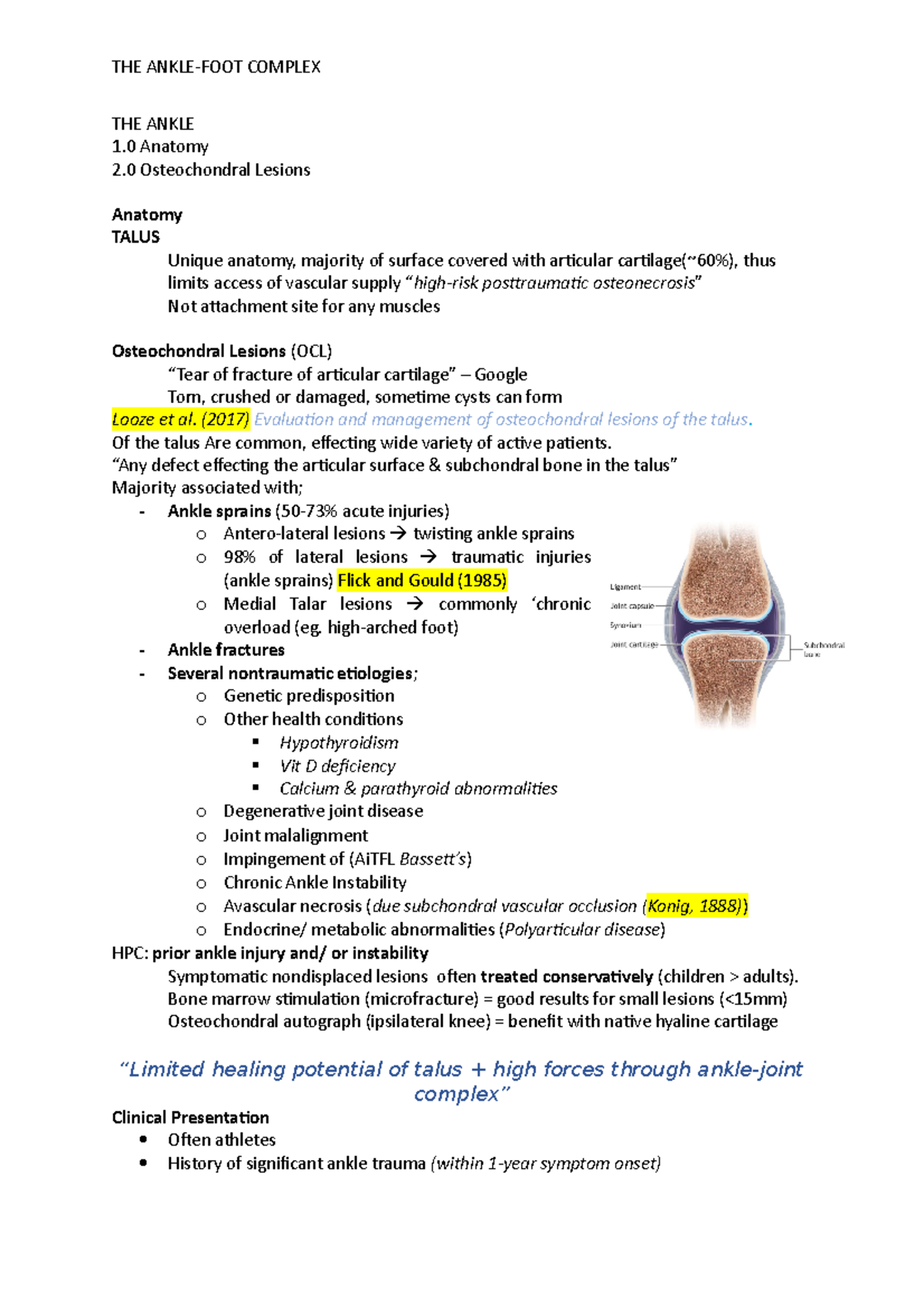 THE Ankle - Sports Injuries and Clinical Assessment - THE ANKLE-FOOT ...