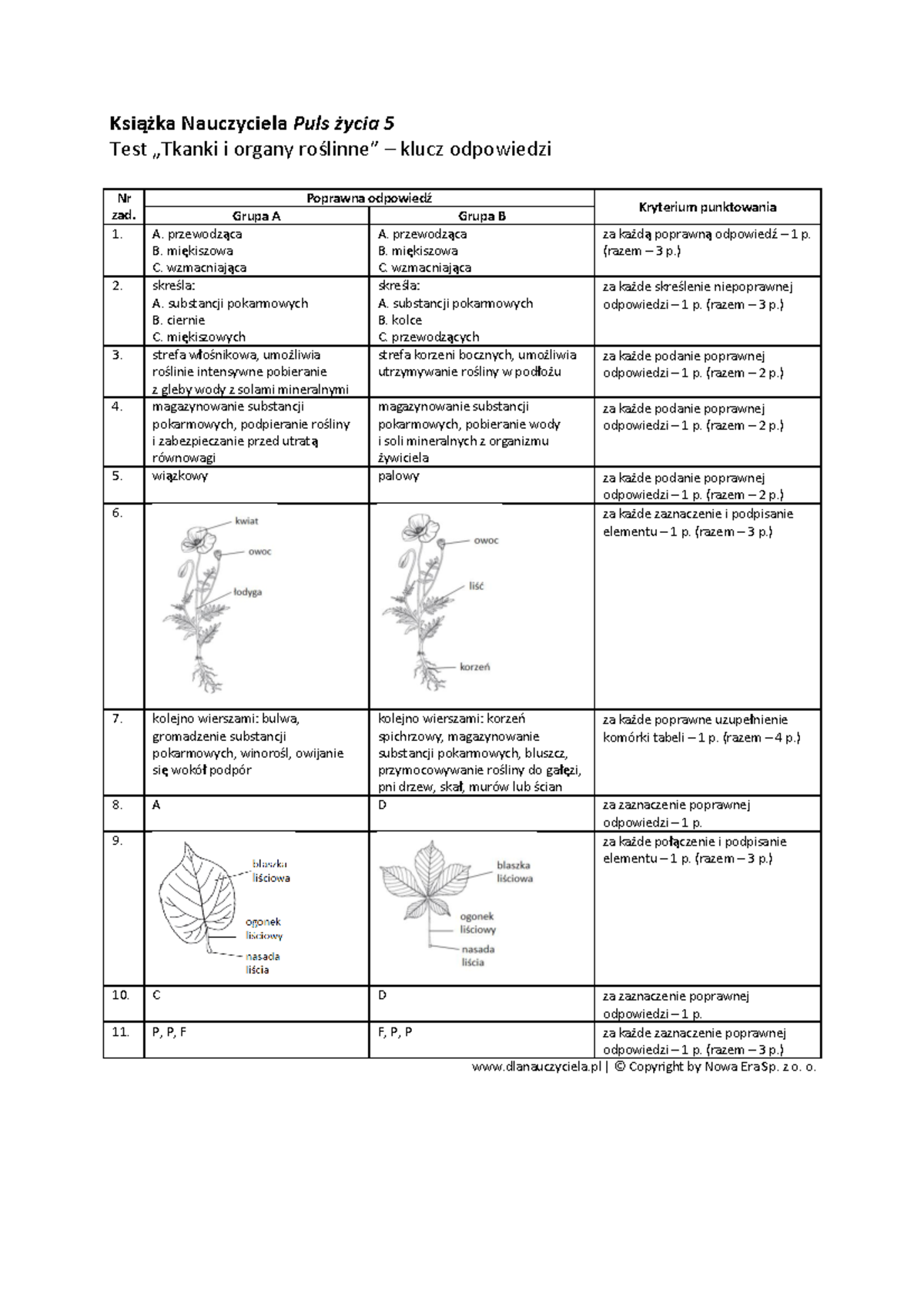4test tkanki i organy roslinne klucz odpowiedzi - Książka Nauczyciela ...