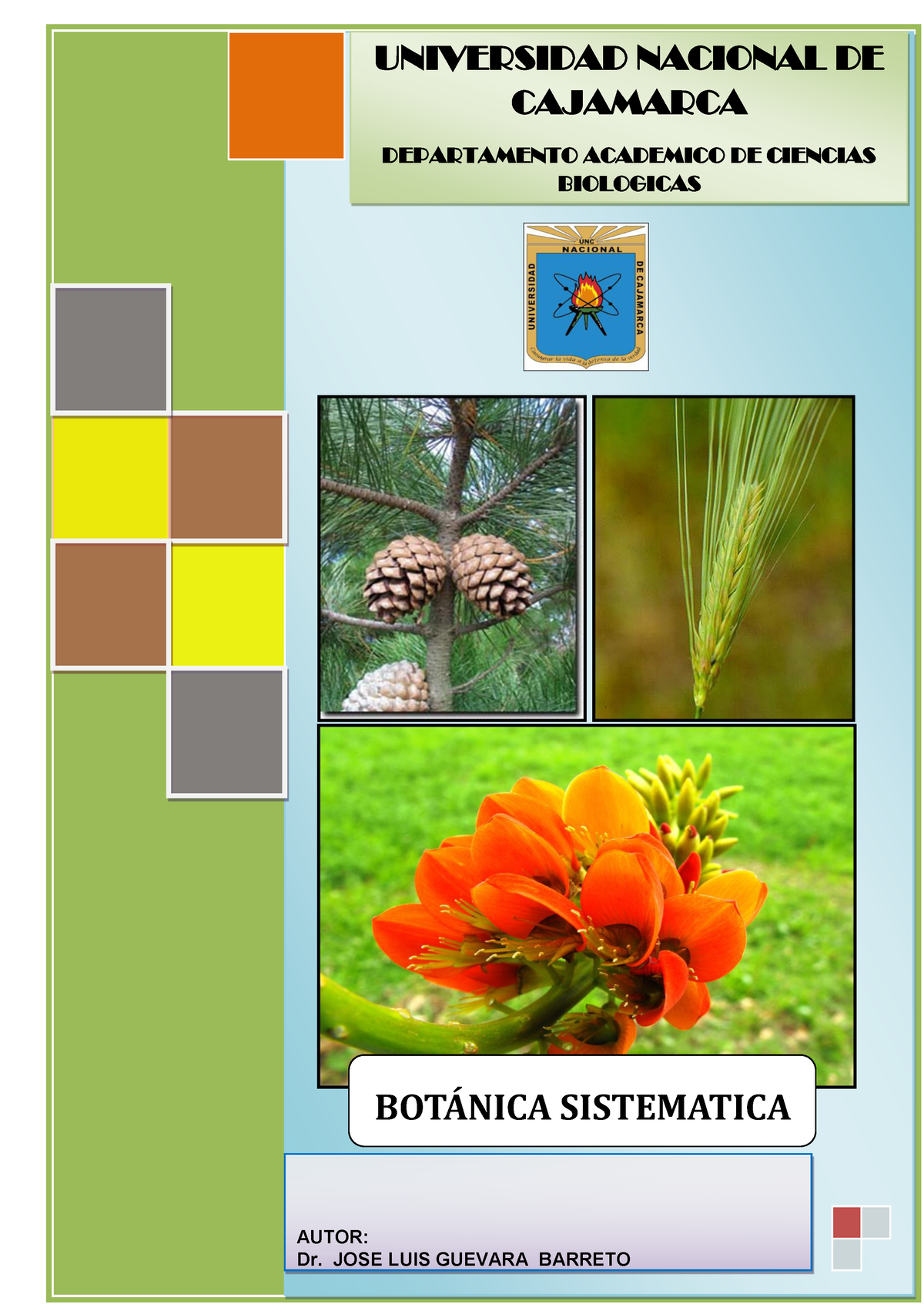 Botanica Sistematica 1212 Autor Universidad Nacional De Cajamarca Departamento Academico 9218