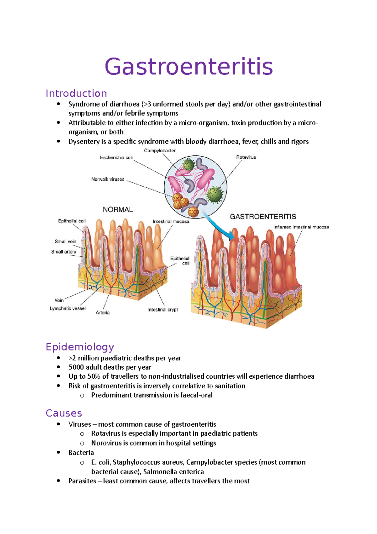 Gastroenteritis - Coli, Staphylococcus Aureus, Campylobacter Species ...