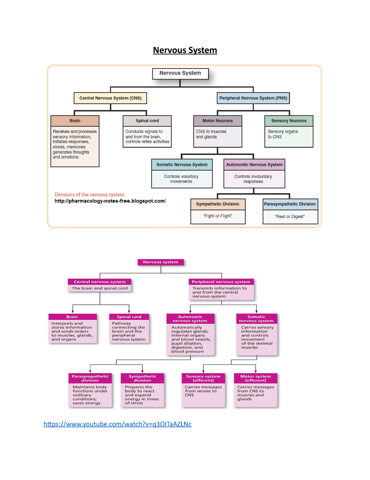 Nervous System mcq Nervous System youtube/watch?v=q3OITaAZLNc