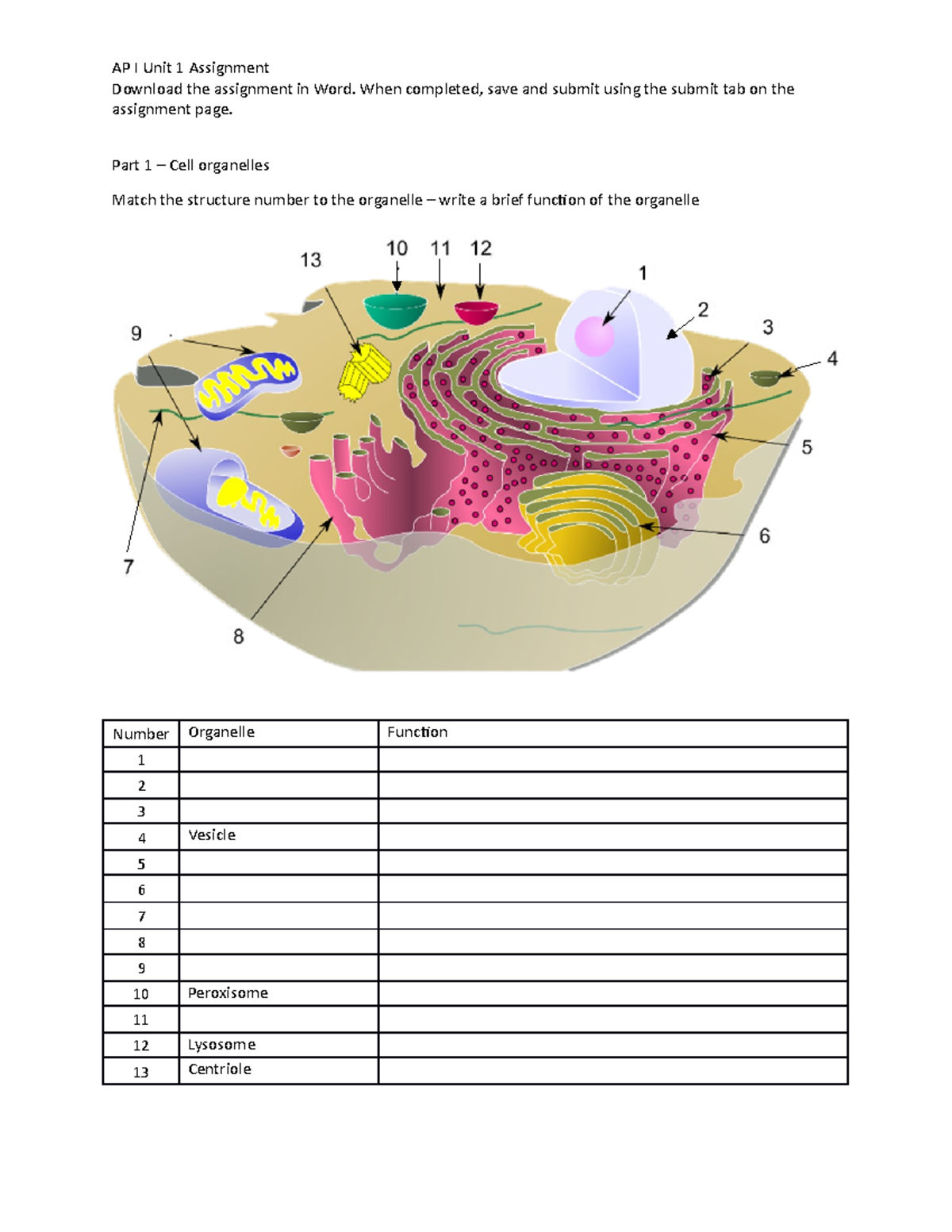 AP I Wk 1 Cell Organelles - AP I Unit 1 Assignment Download the ...