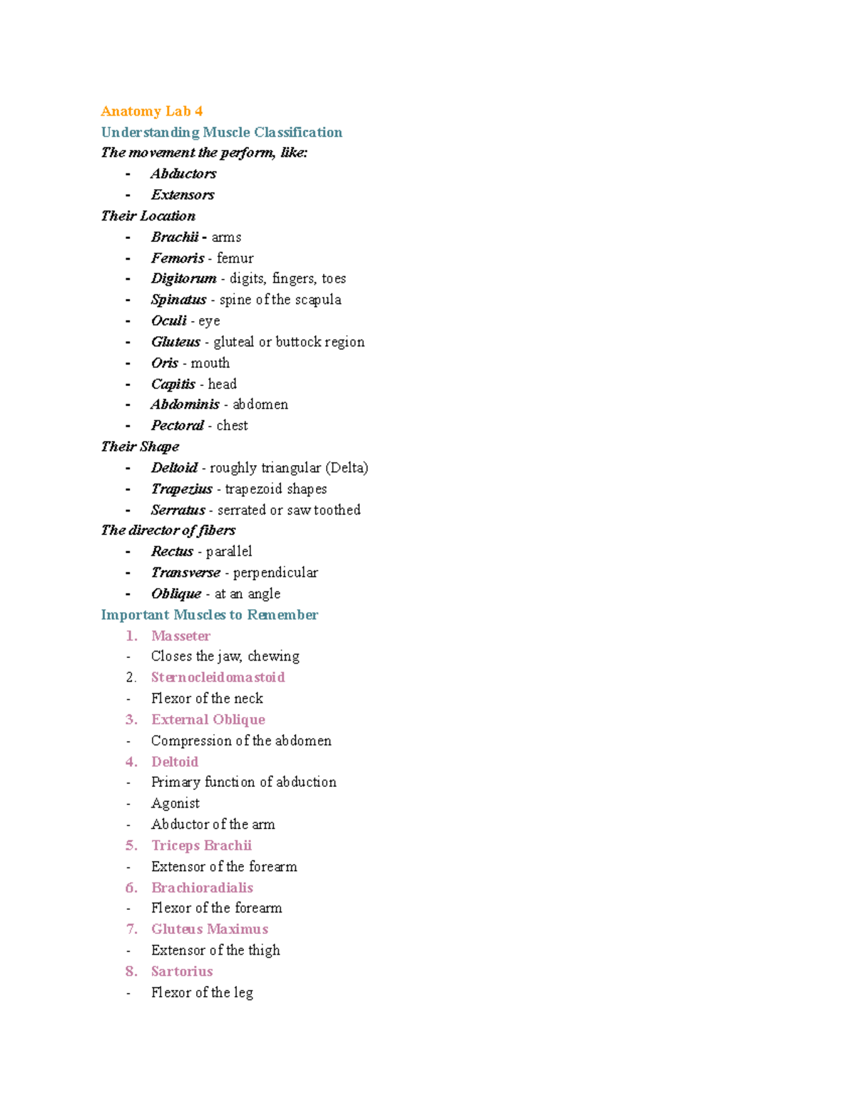 Practical 2 Study Guide - Anatomy Lab 4 Understanding Muscle ...