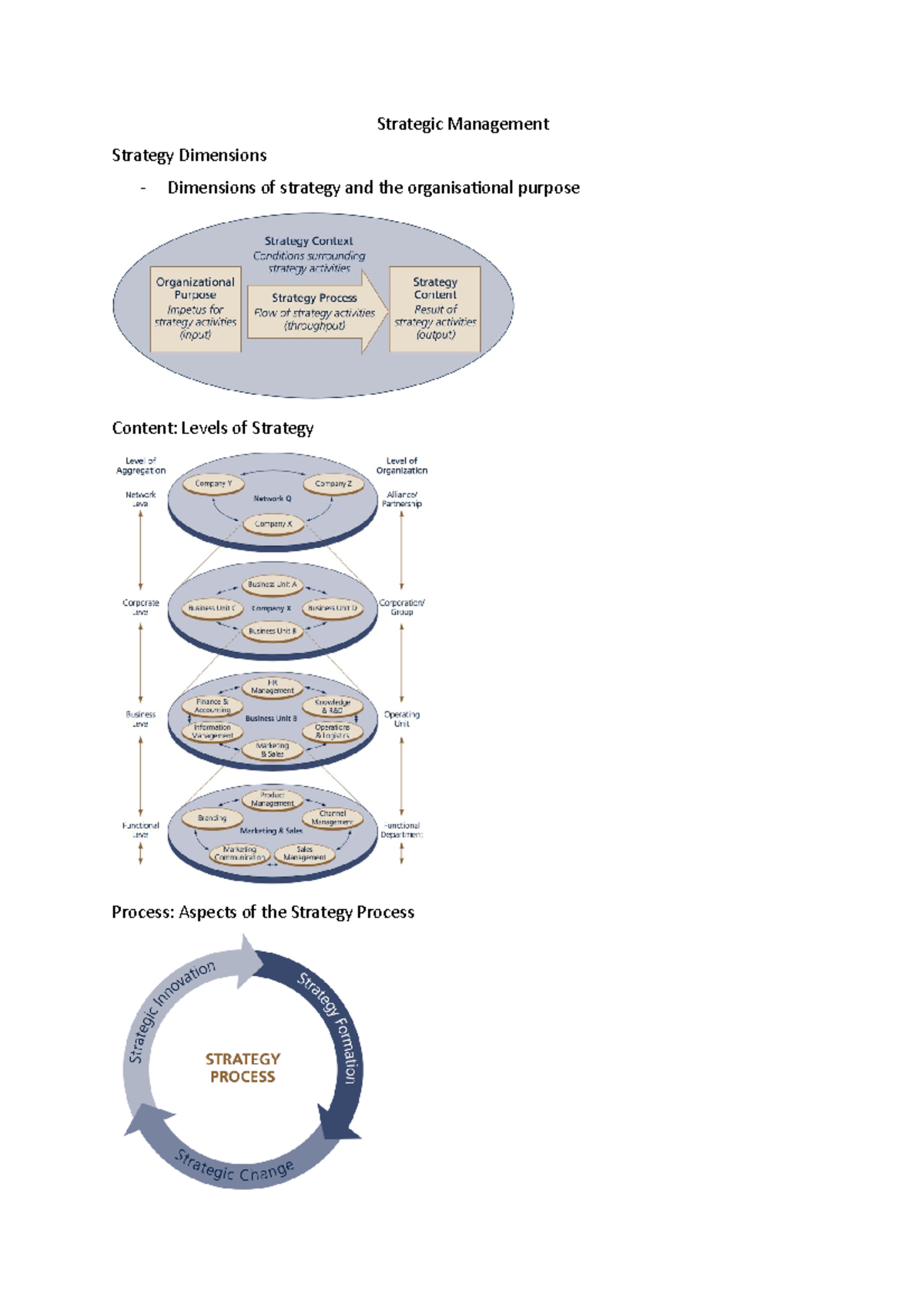 Strategic Management 1 - Strategic Management Strategy Dimensions ...