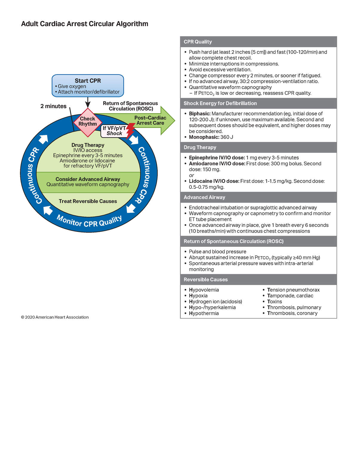 3 Adult Cardiac Arrest Circular Algorithm © 2020 American Heart