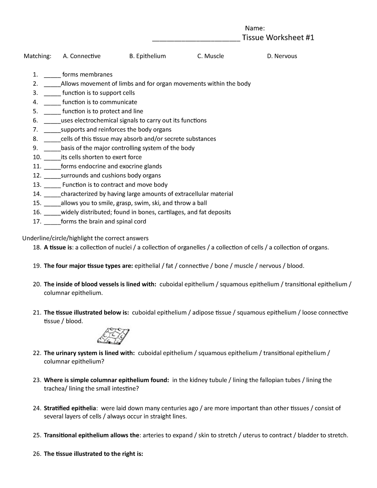 Tissue Worksheet #200 - Lecture notes 20.20 - Name: Tissue Worksheet With Regard To Types Of Tissues Worksheet